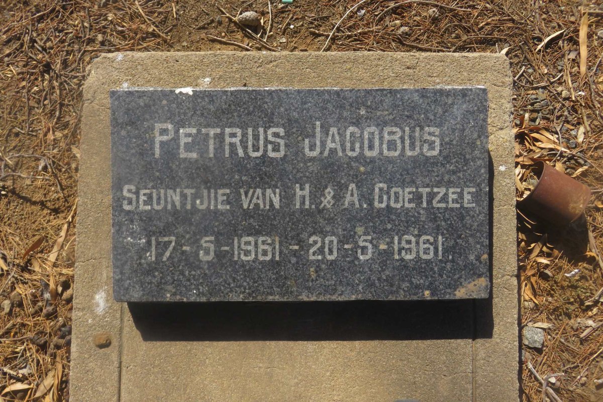 COETZEE Petrus Jacobus 1961-1961