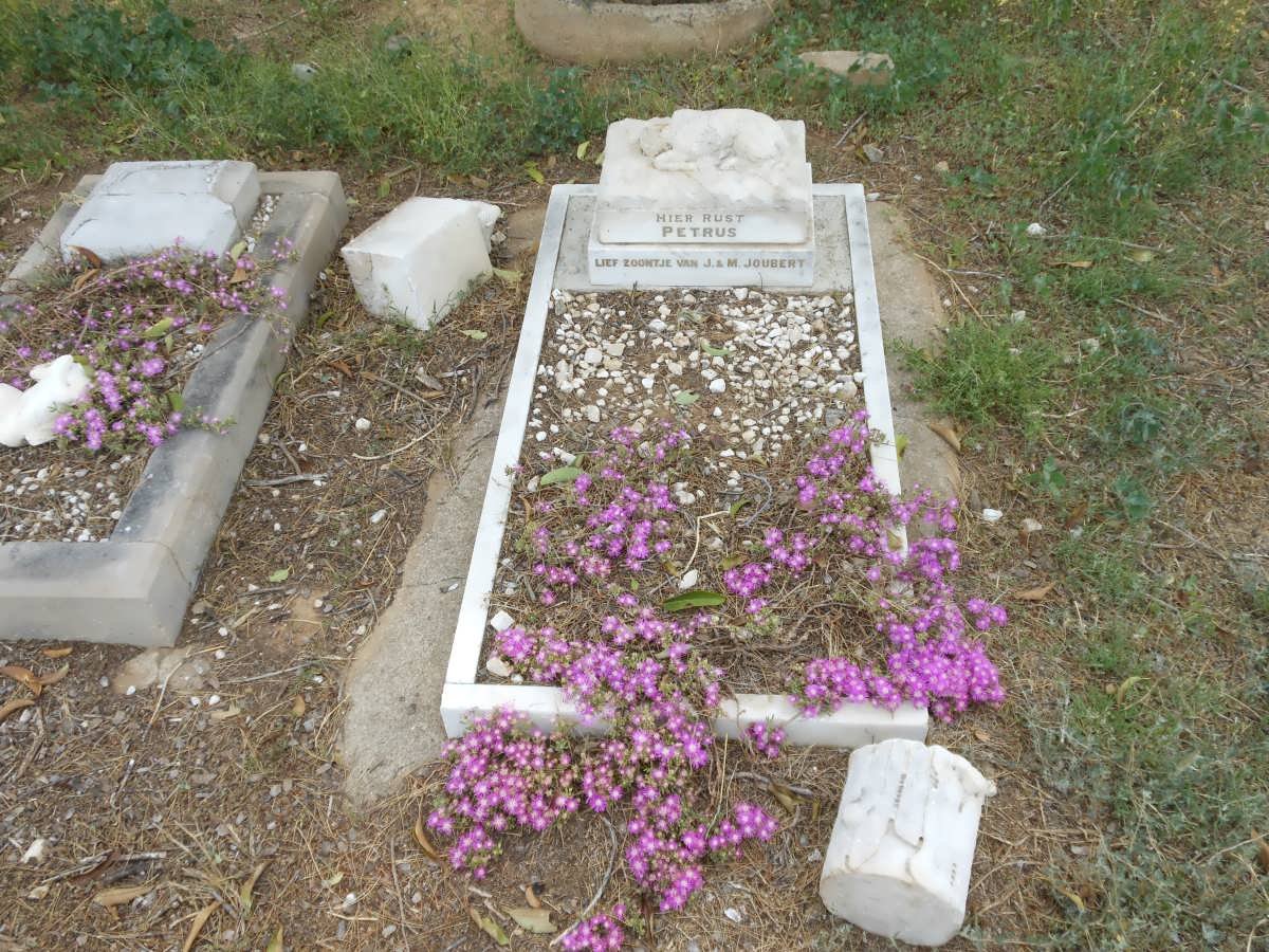 JOUBERT Petrus