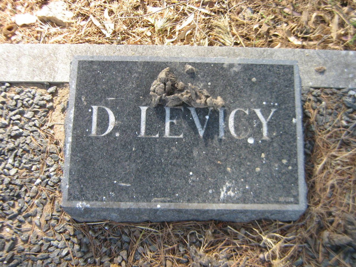 LEVICY D.