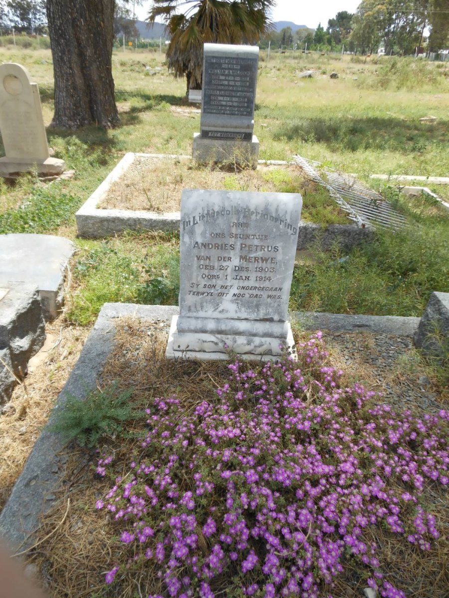 MERWE Andries Petrus, van der 1903-1914