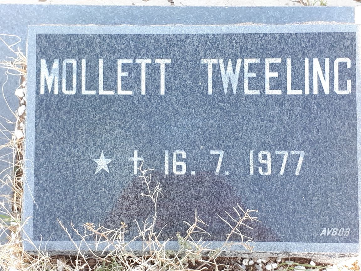 MOLLETT Twins 1977-1977