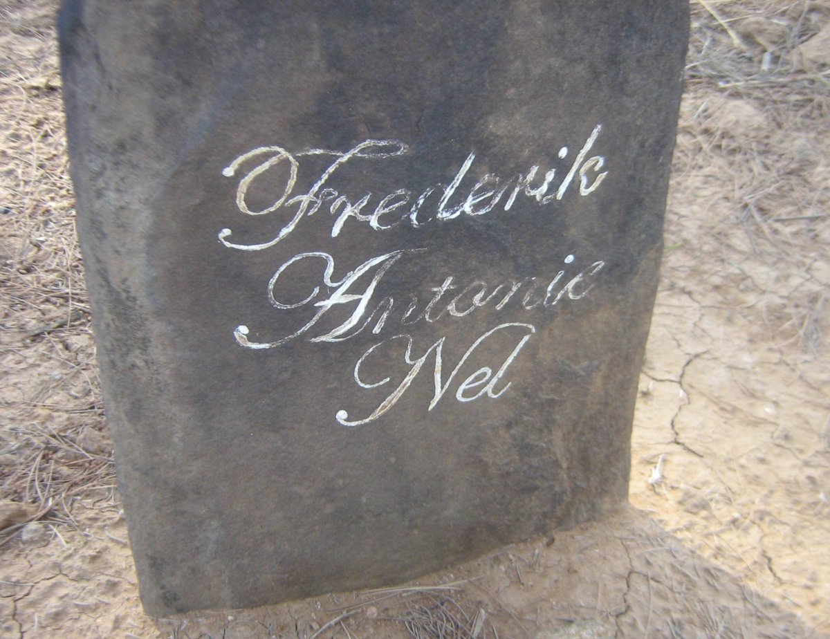 NEL Frederik Antonie
