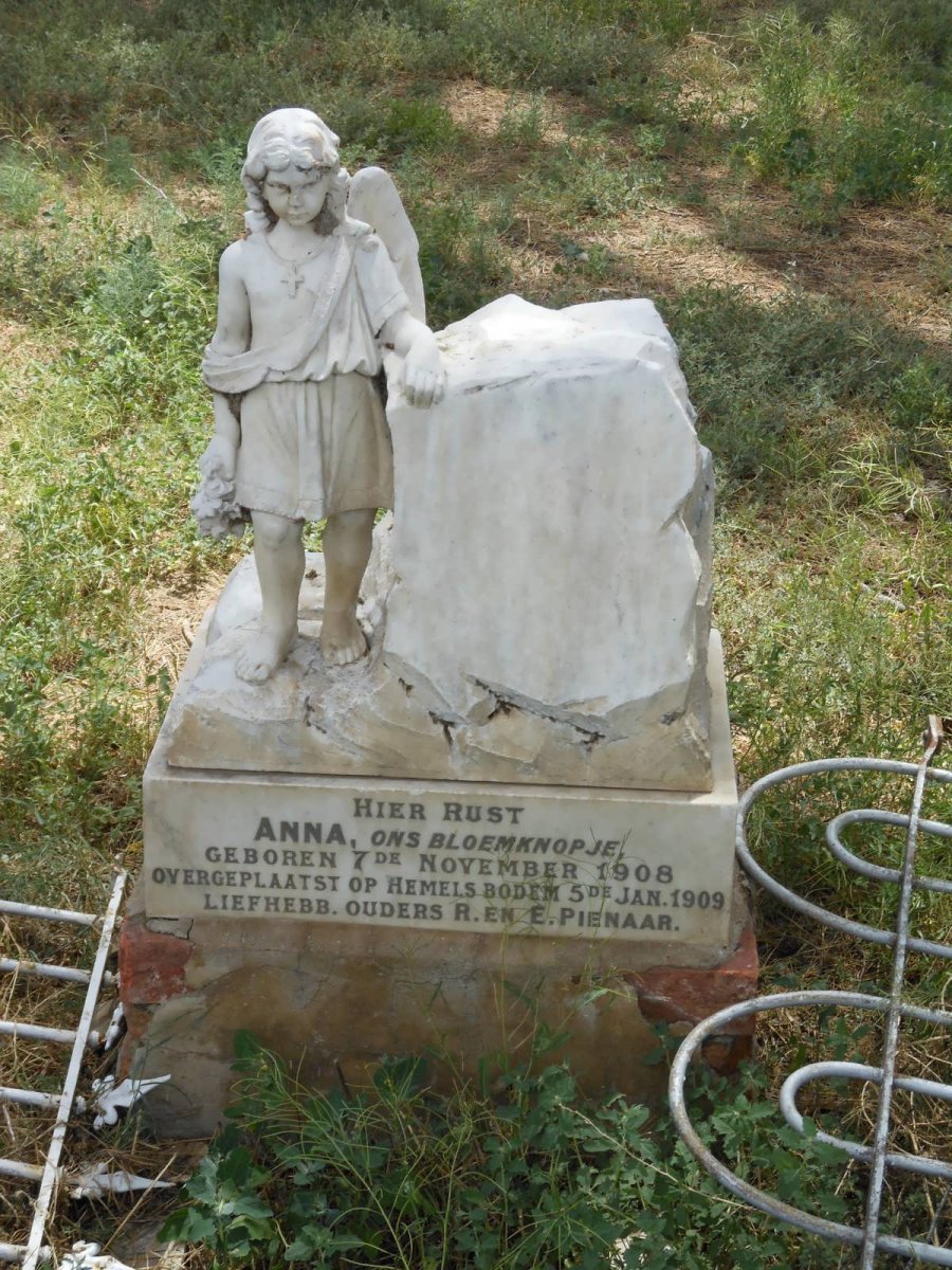 PIENAAR Anna 1908-1909
