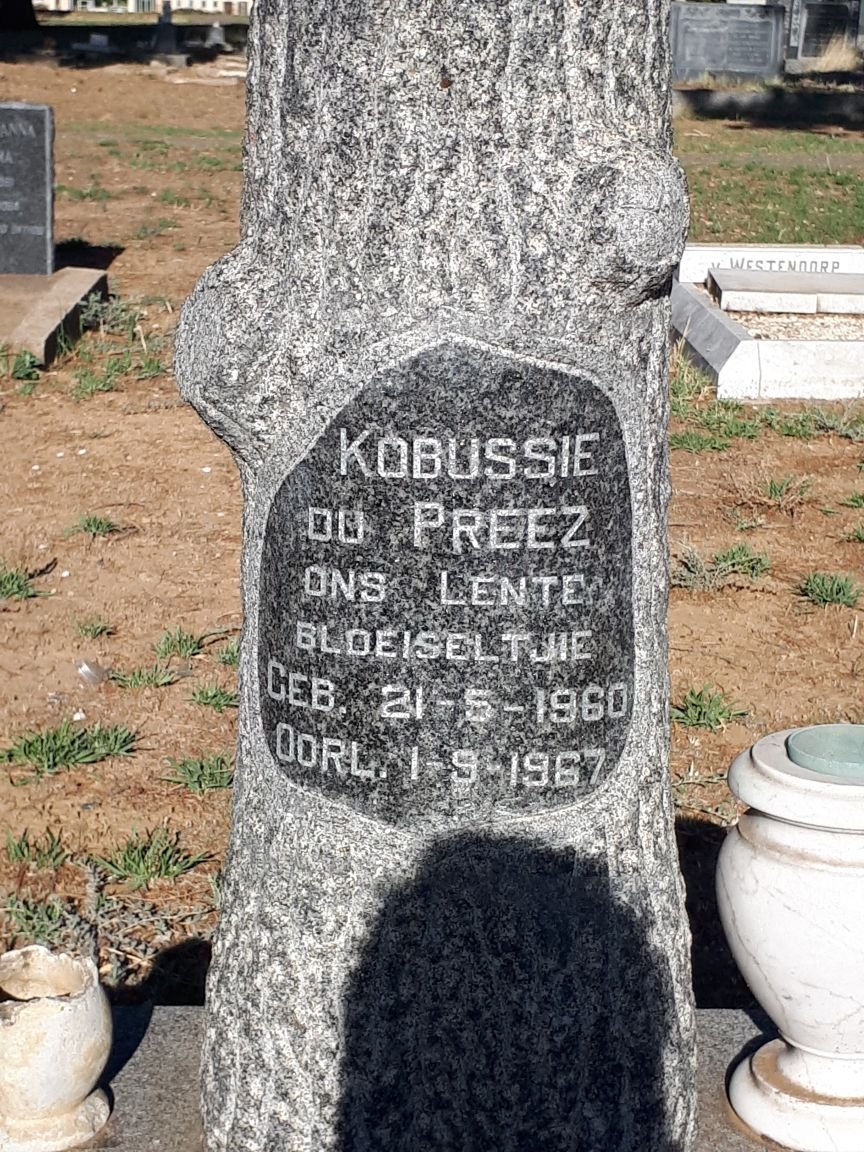 PREEZ Kobussie, du 1960-1967