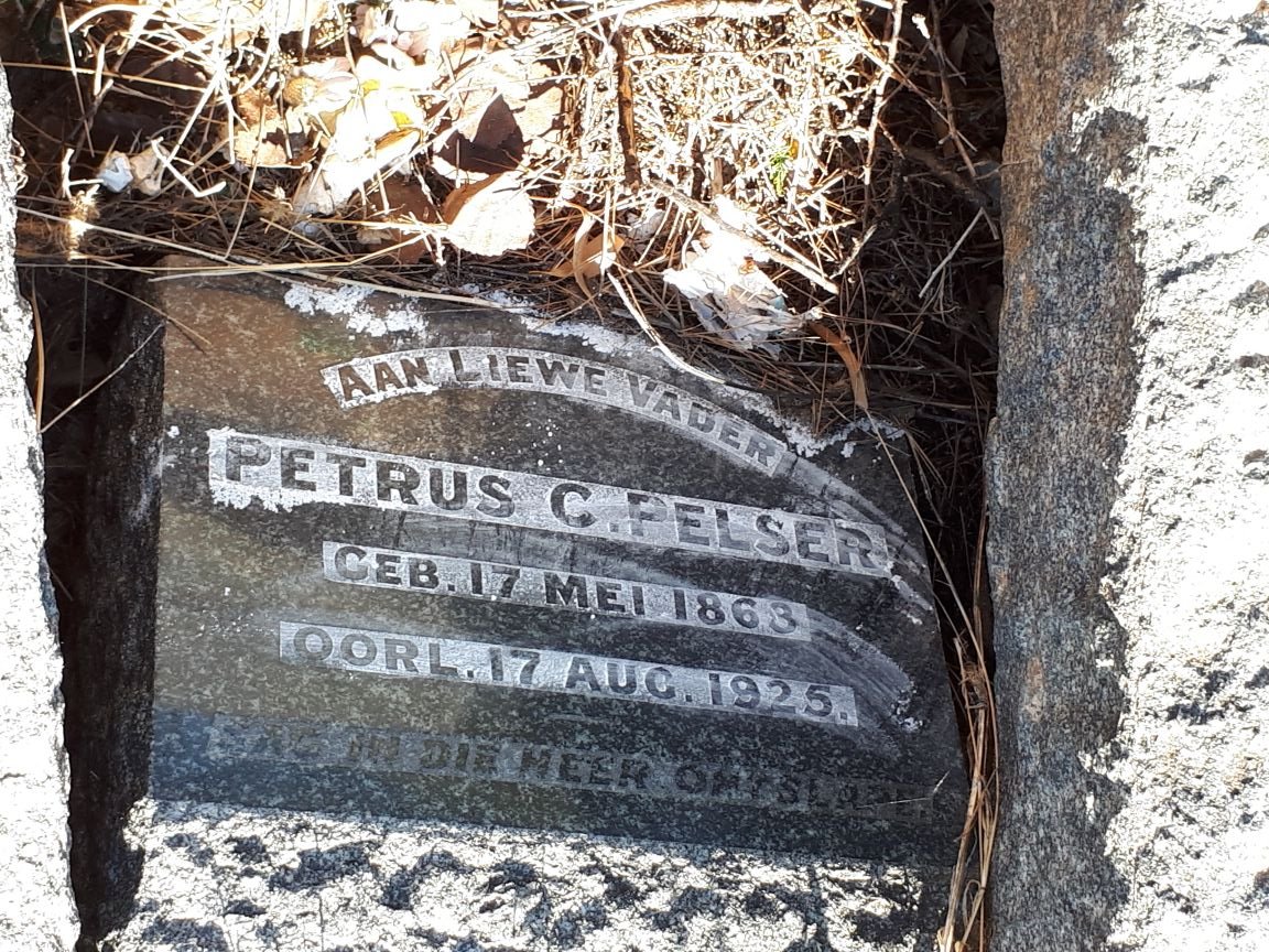 PELSER Petrus C. 1863-1925