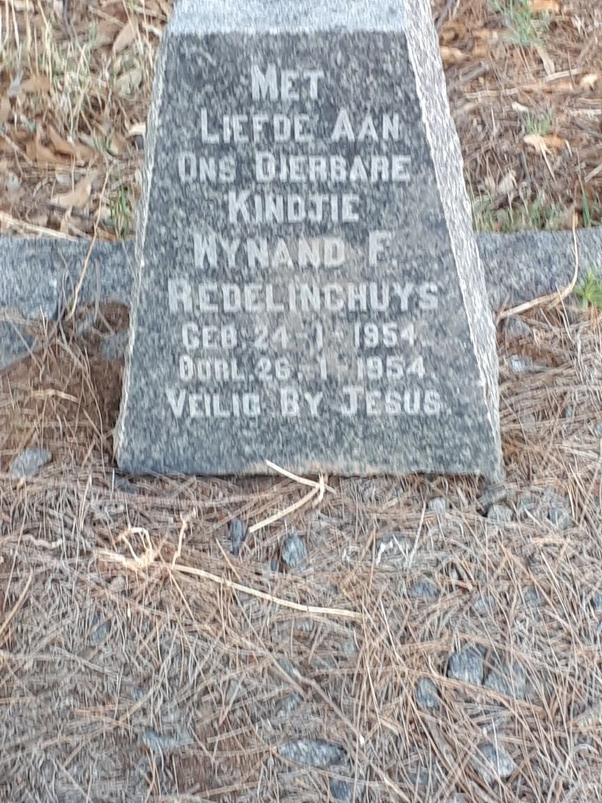 REDELINGHUYS Wynand F. 1954-1954