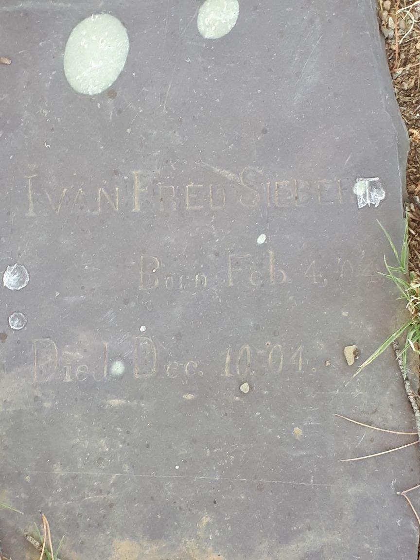SIEBERT Ivan Fred 1904-1904
