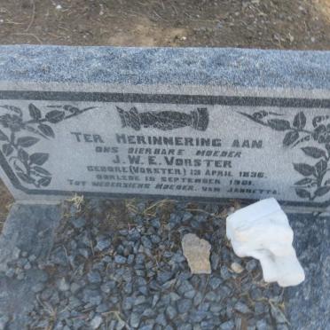 VORSTER J.W.E. nee VORSTER 1836-1901