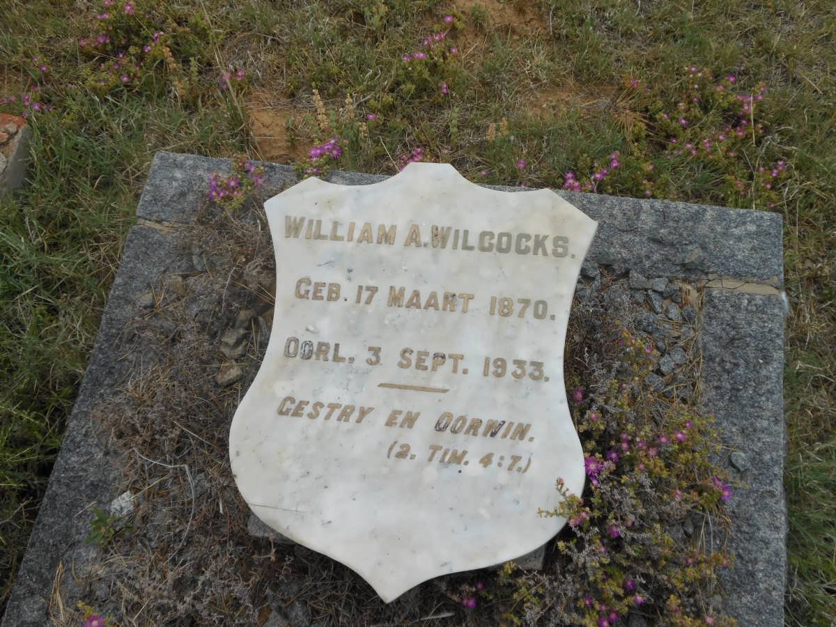 WILCOCKS William A. 1870-1933