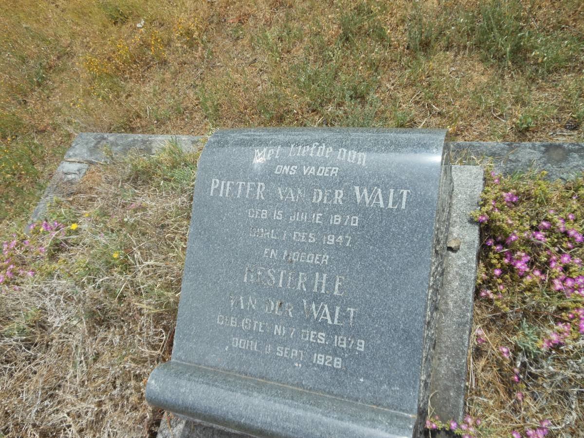WALT Pieter, van der 1870-1947 &amp; Hester H.E. STEYN 1879-1928