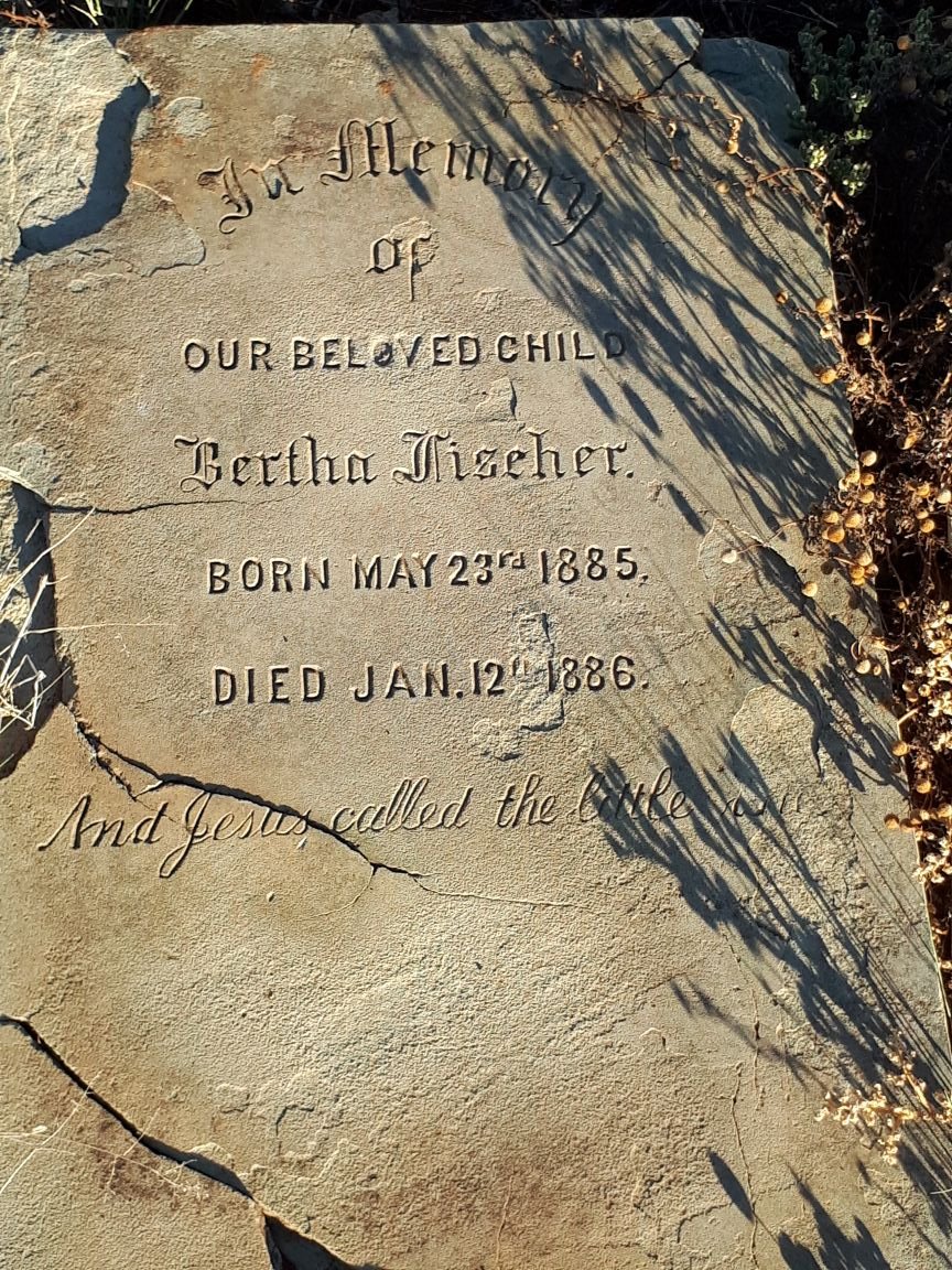 FISCHER Bertha 1885-1886
