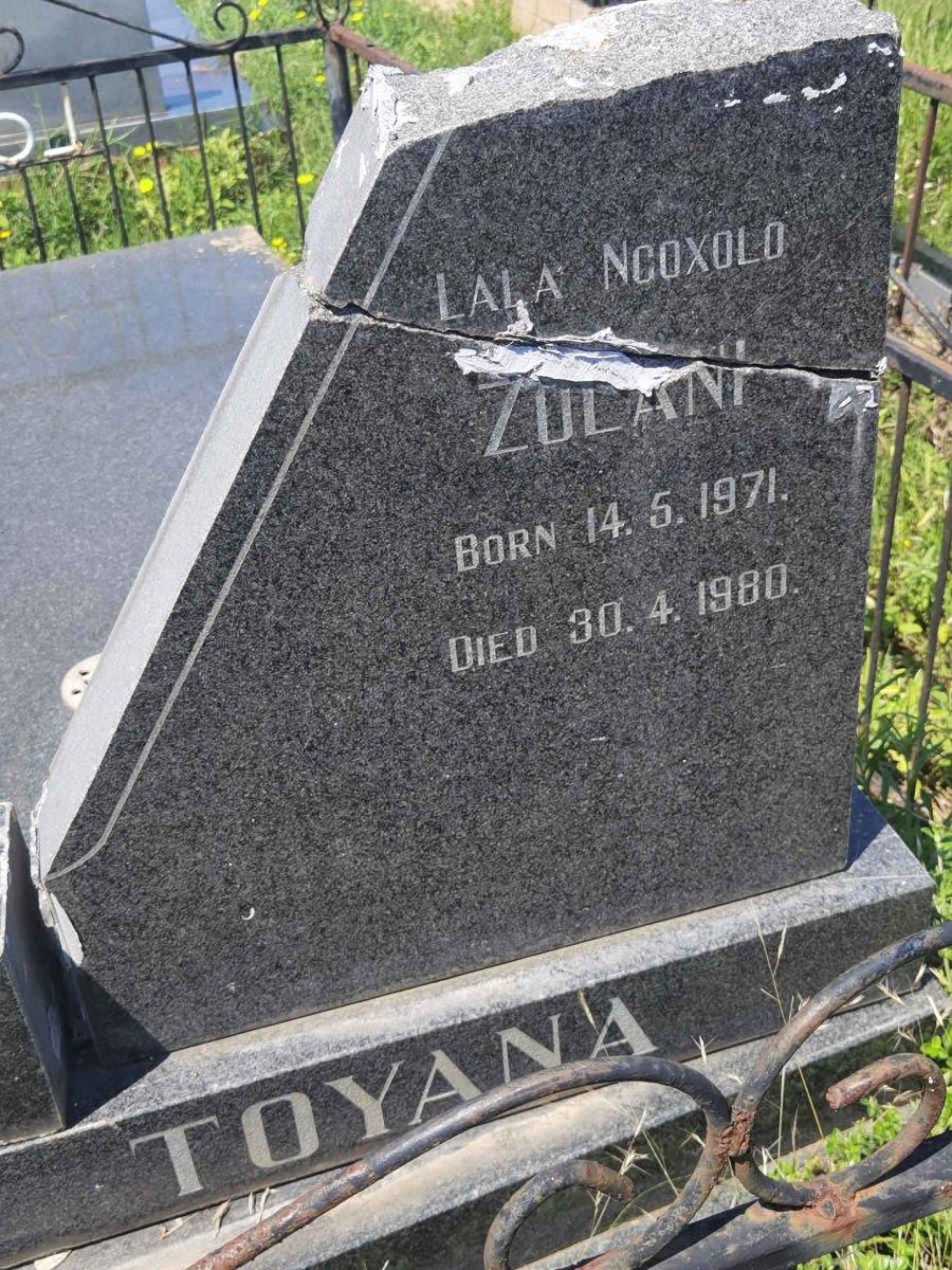TOYANA Zulani 1971-1980
