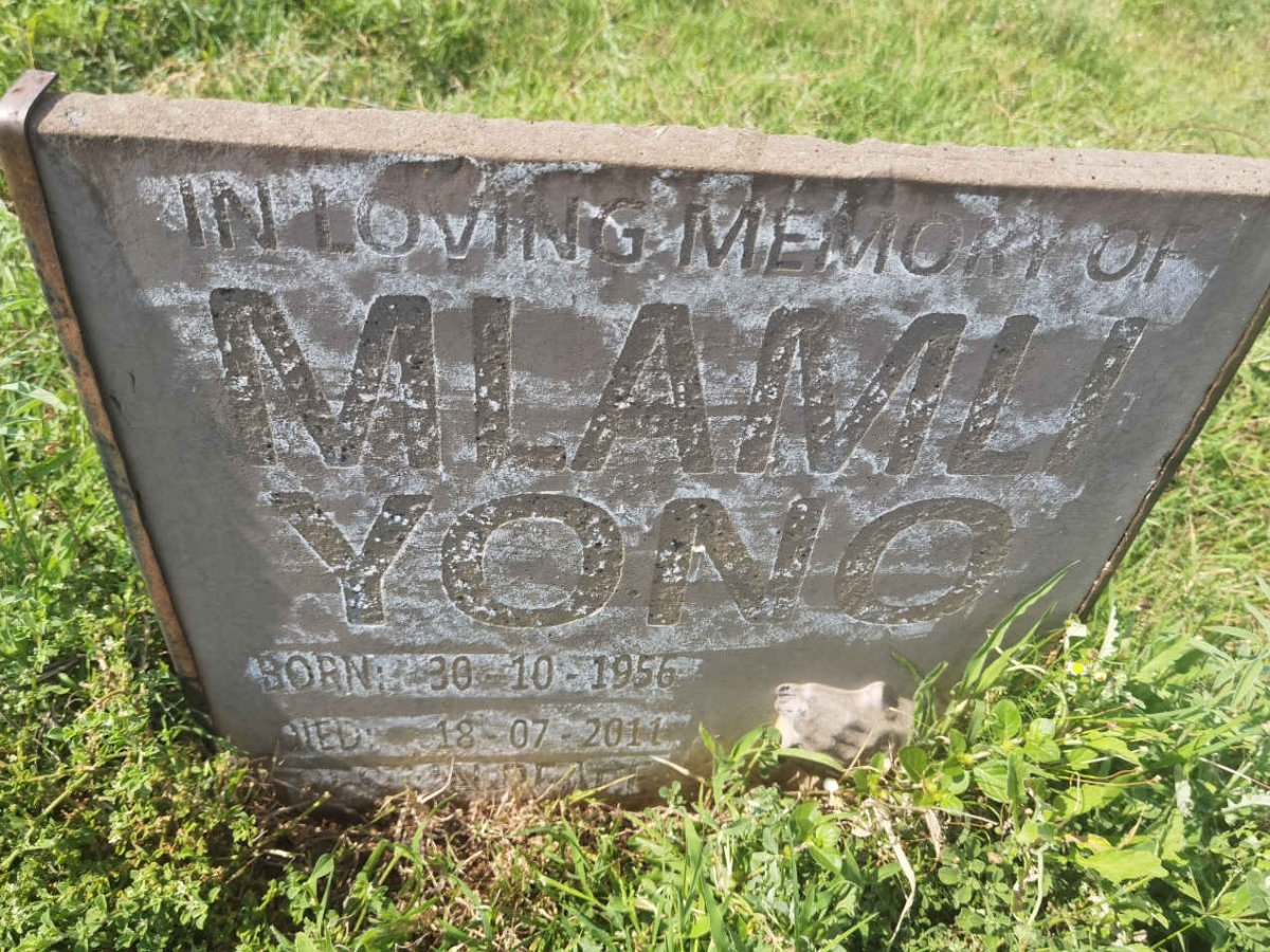 YONO Mlamli 1956-2011