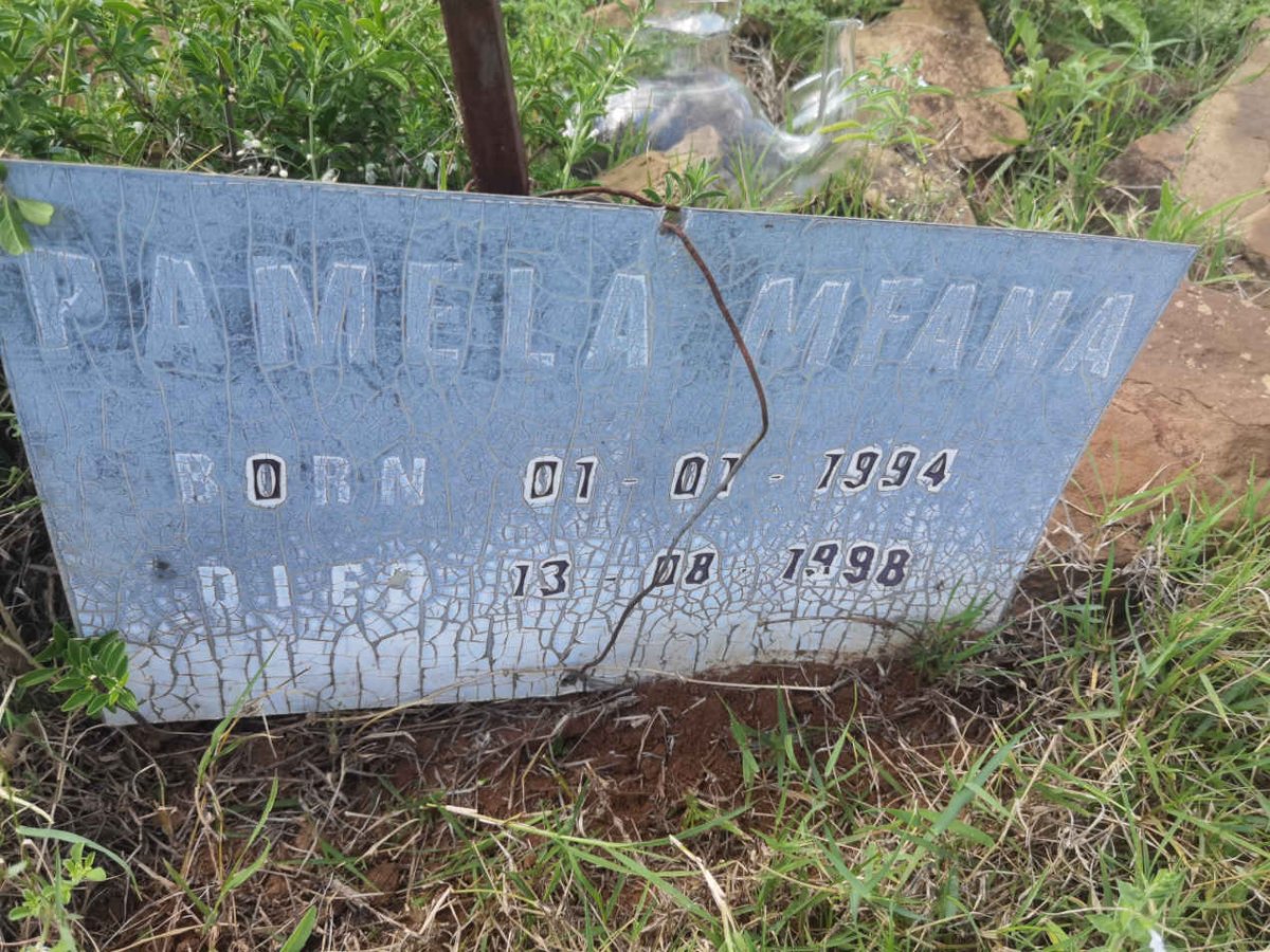 MFANA Pamela 1994-1998