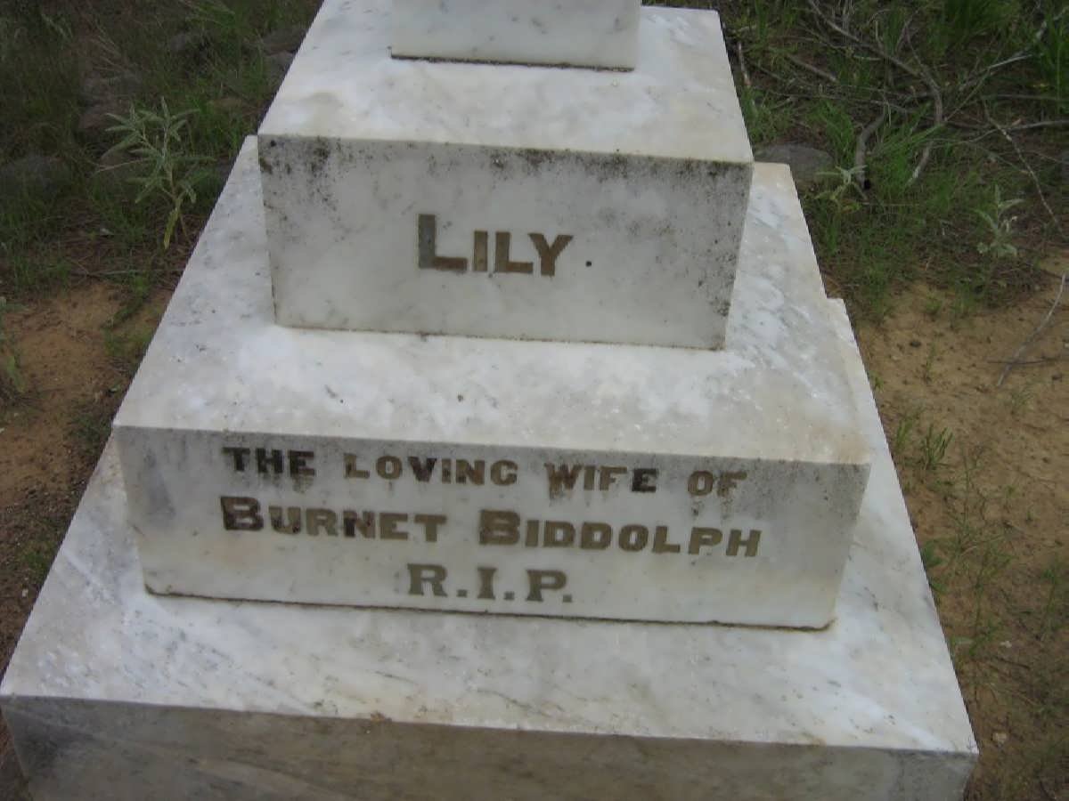 BIDDOLPH Lily