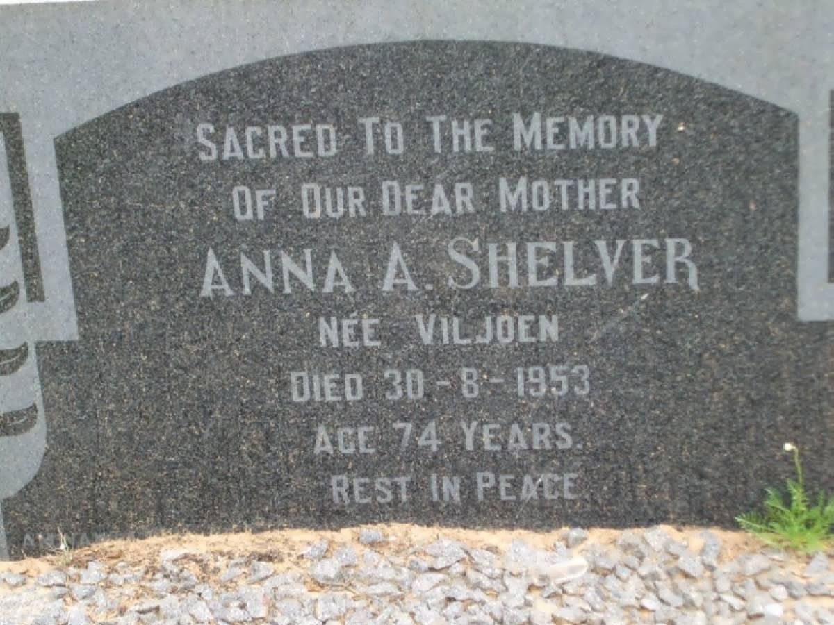 SHELVER Anna A. nee VILJOEN -1953