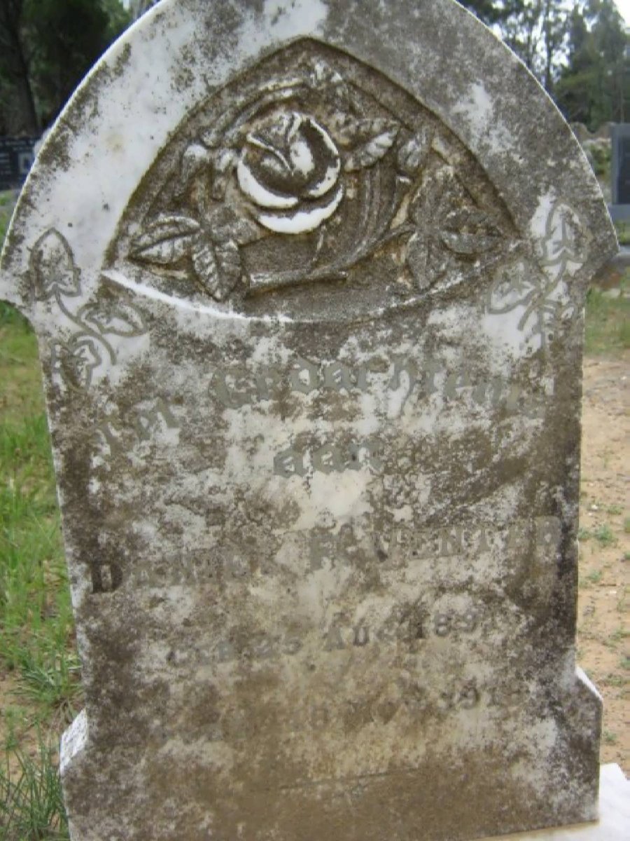 VENTER ?Daniel Frederik 1881-1918