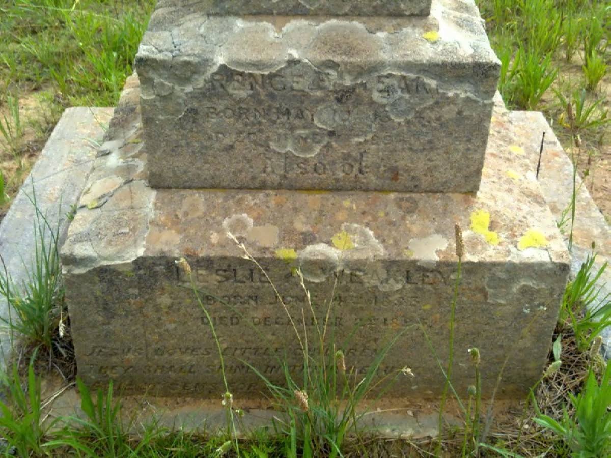 WEAKLEY Leslie 1893-1894 :: WEAKLEY Florence  nee MAY?