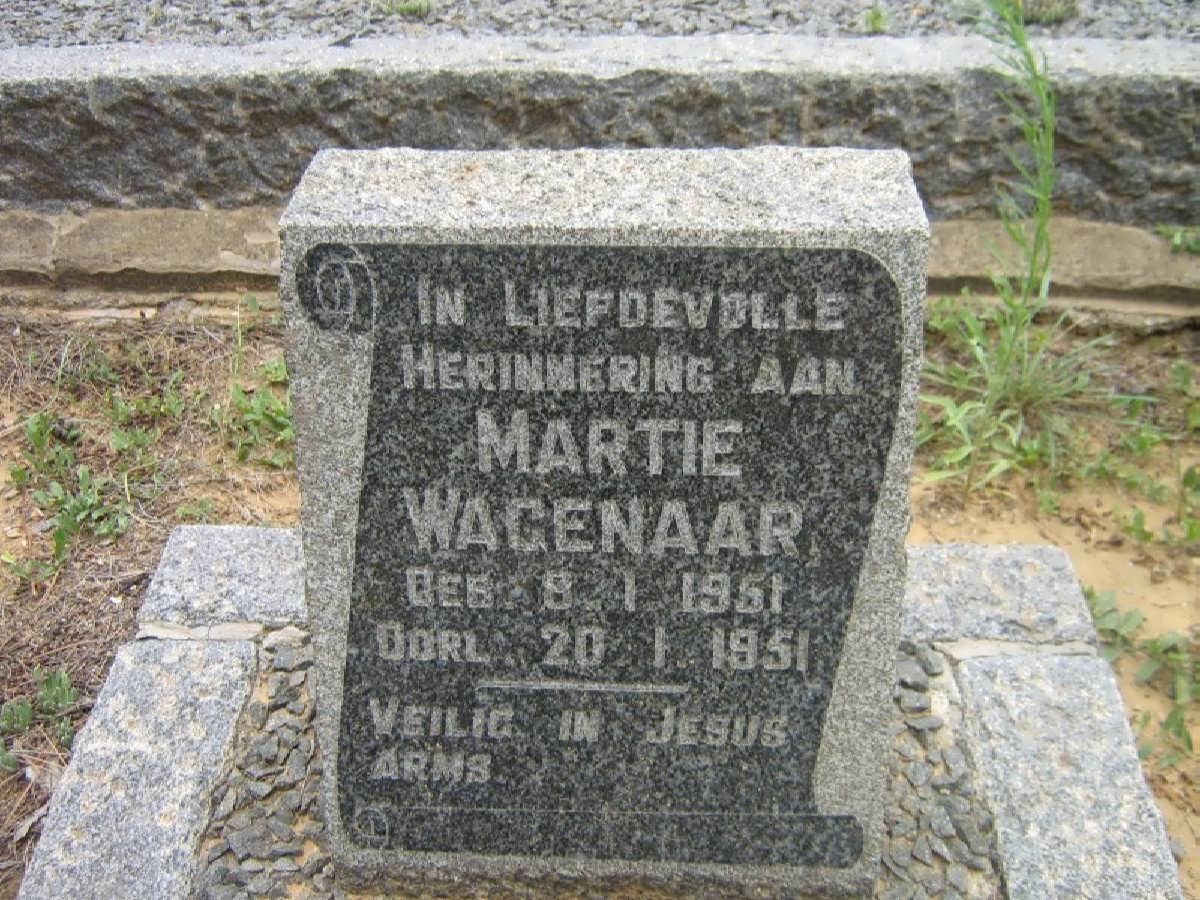 WAGENAAR Martie 1951-1951