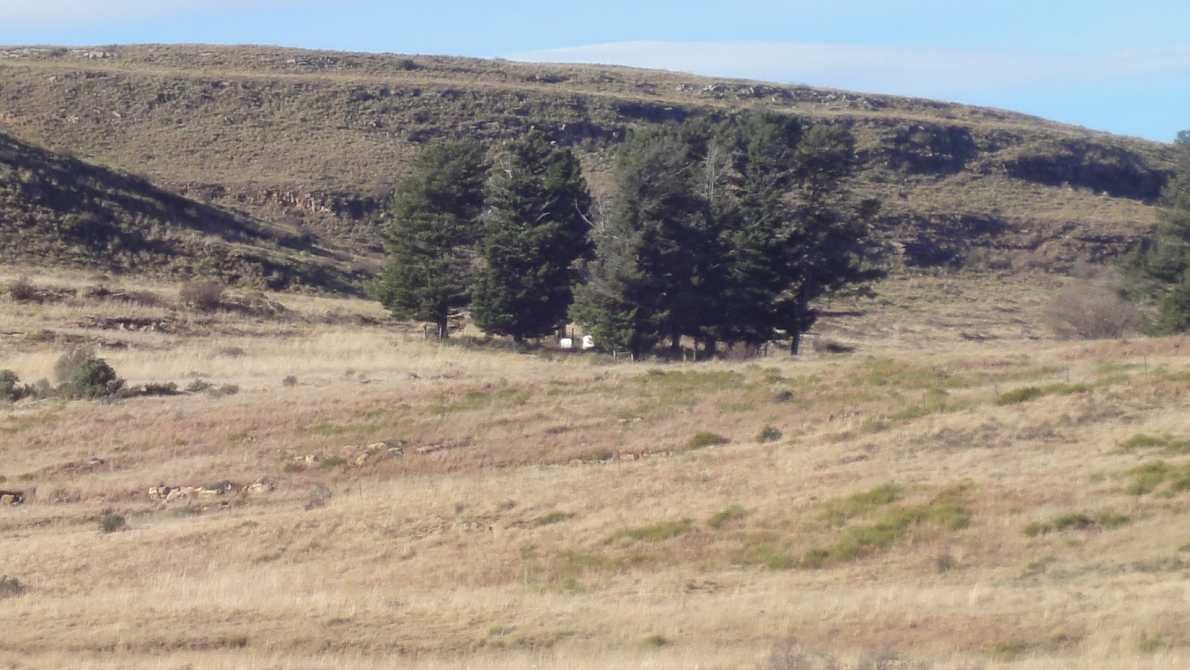 2. Overview on the cemetery
