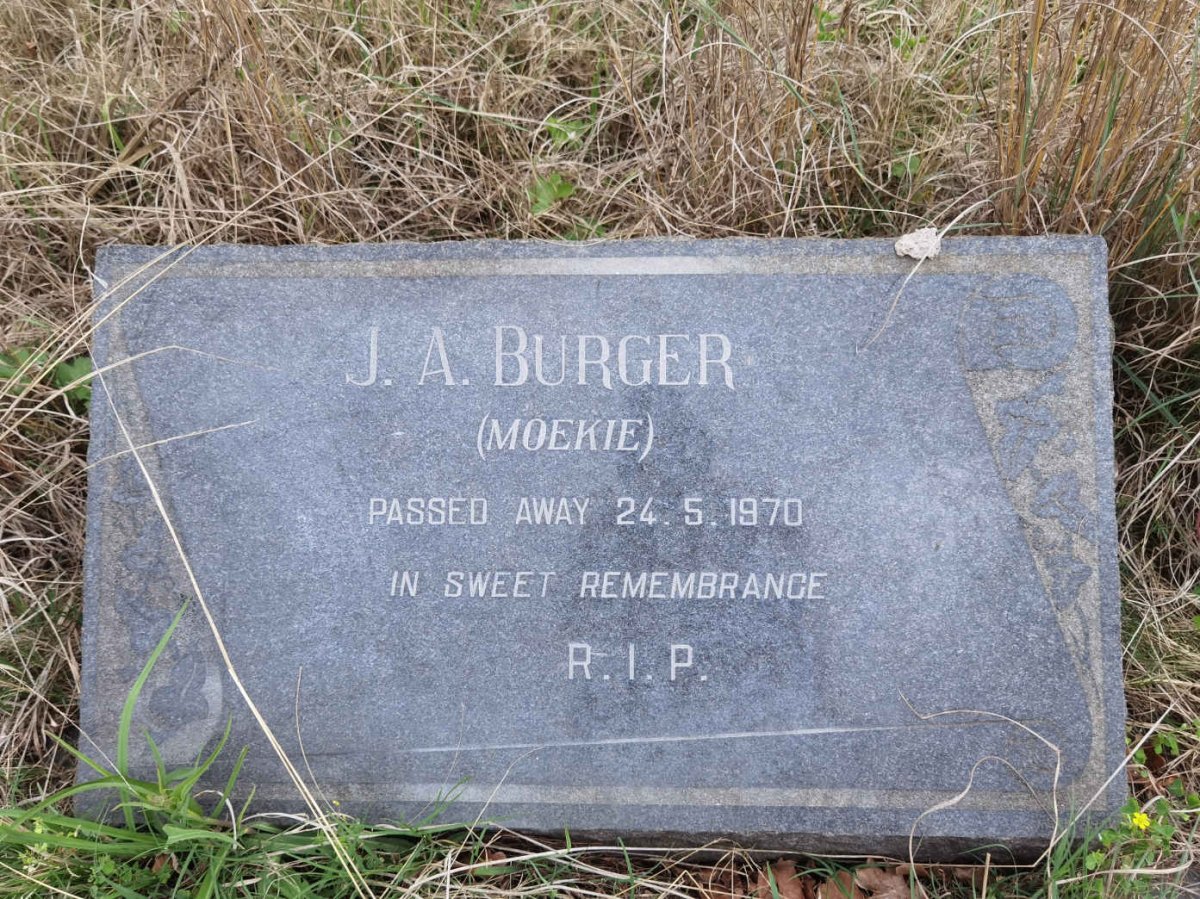 BURGER J.A. -1970