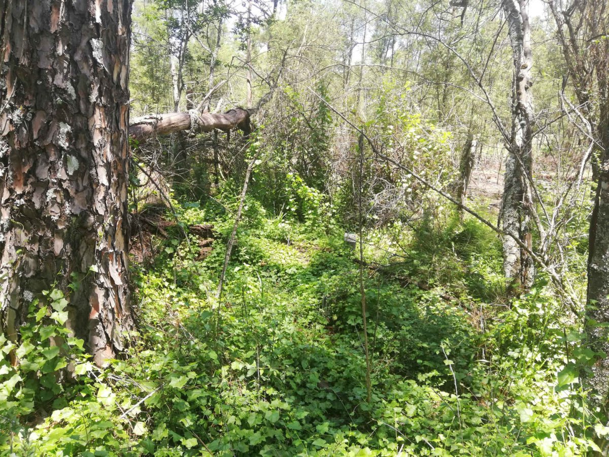 3. Oorsig / Overview