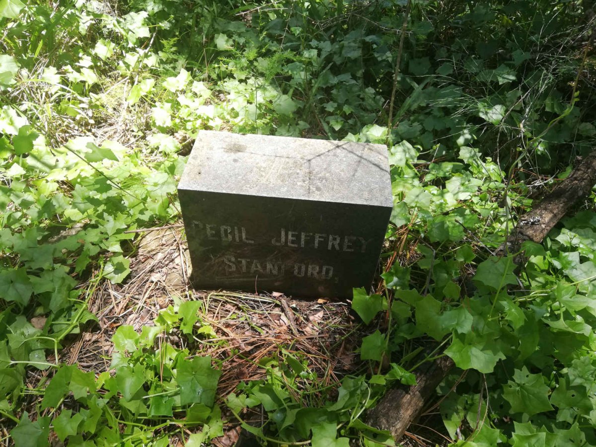 STANFORD Cecil Jeffrey 1930-1931