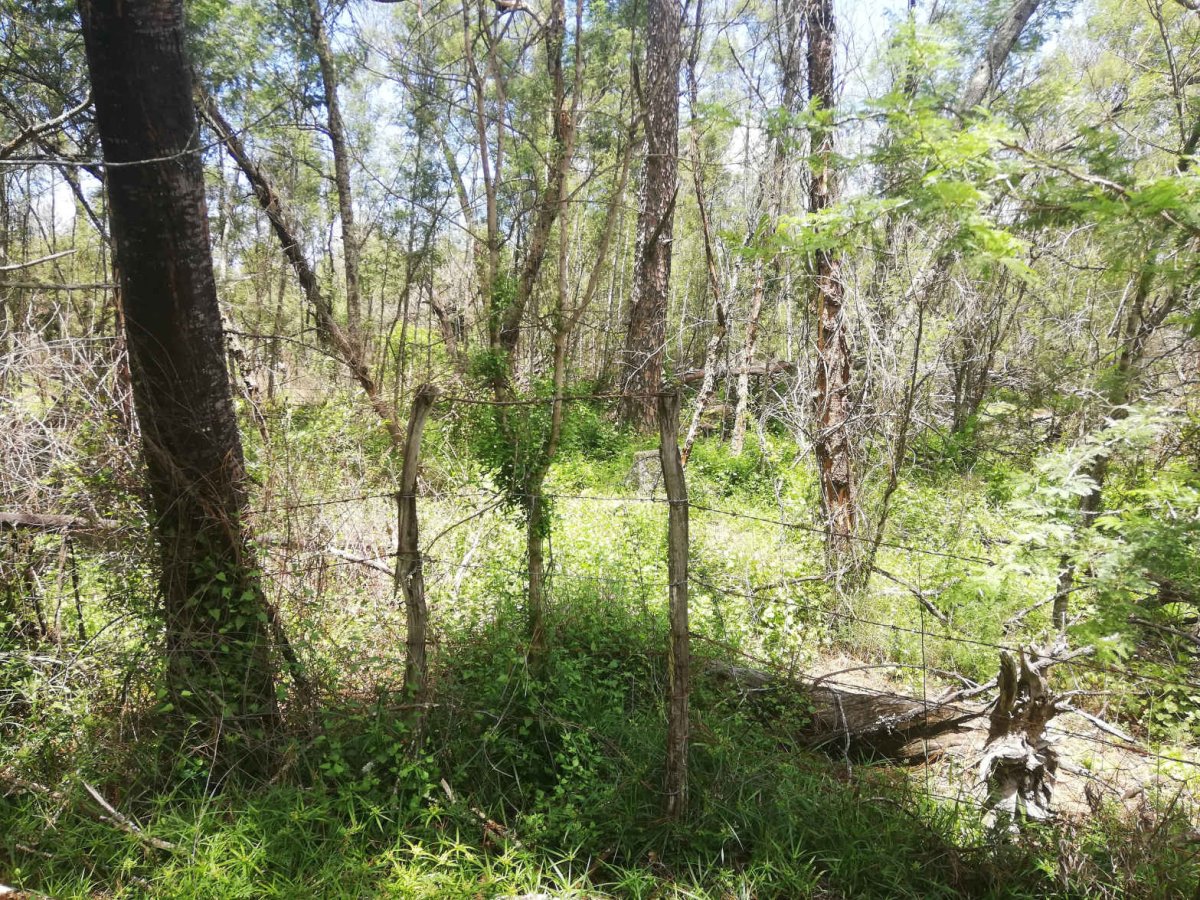 2.Oorsig / Overview