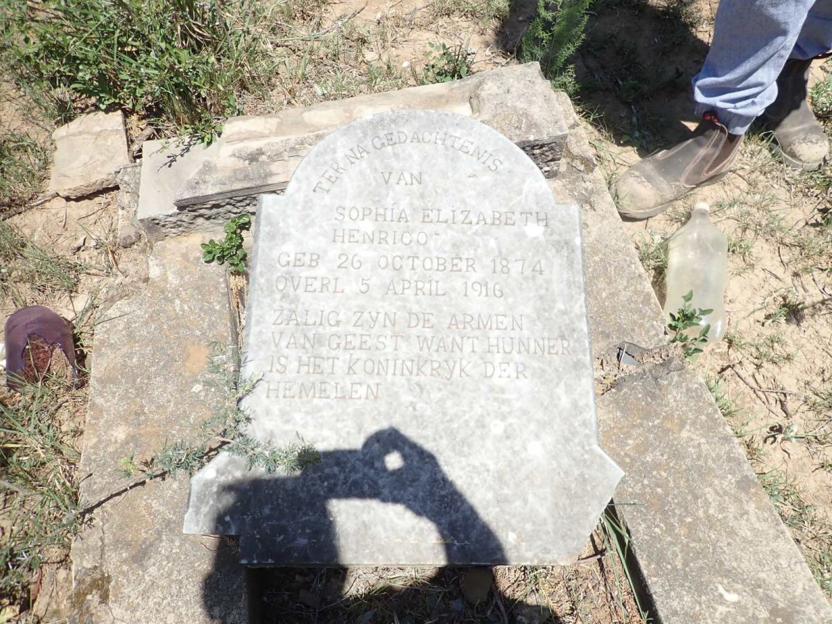 HENRICO Sophia Elizabeth 1874-1916