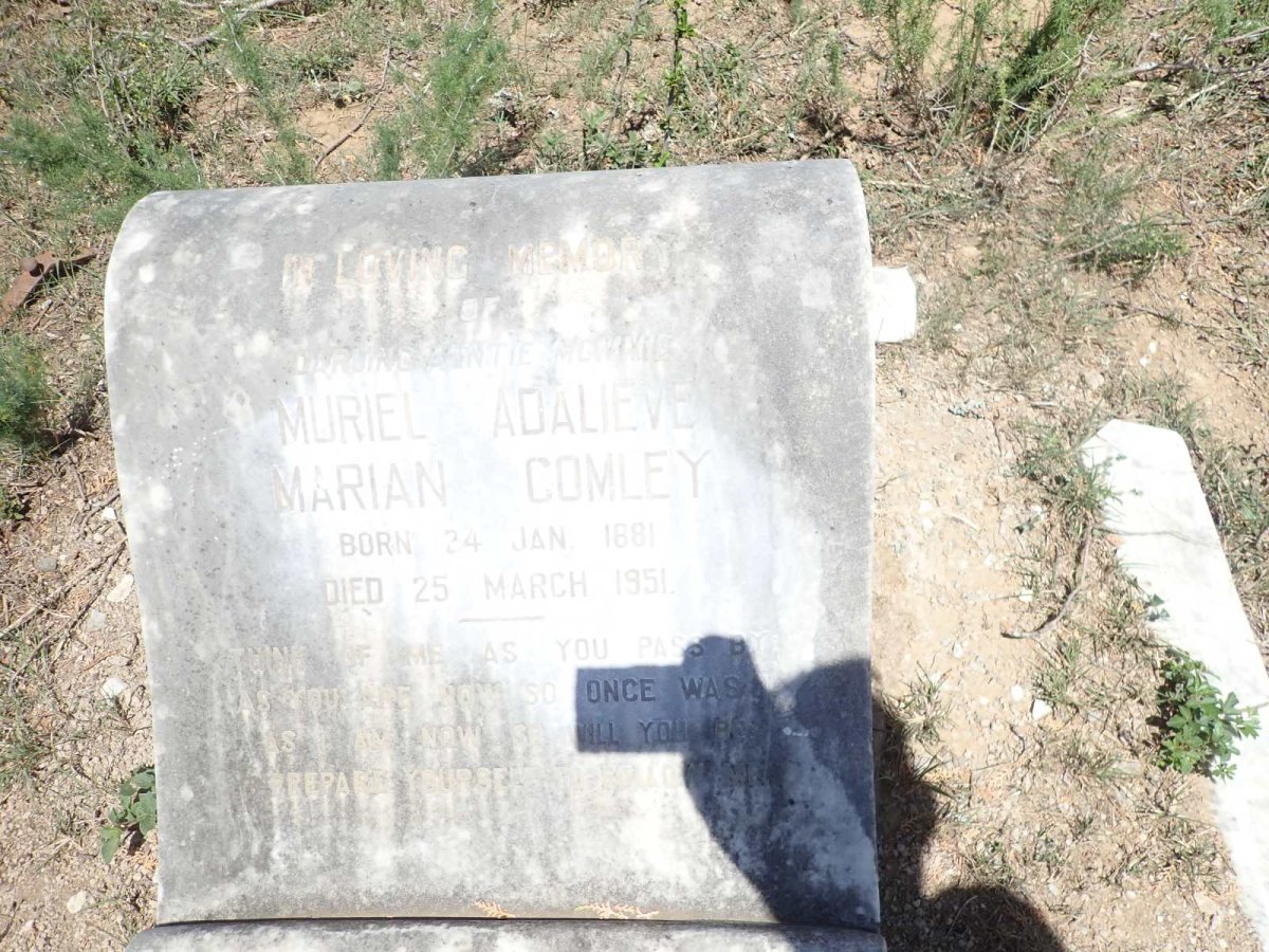 COMLEY Muriel Adalieve Marian 1881-1951
