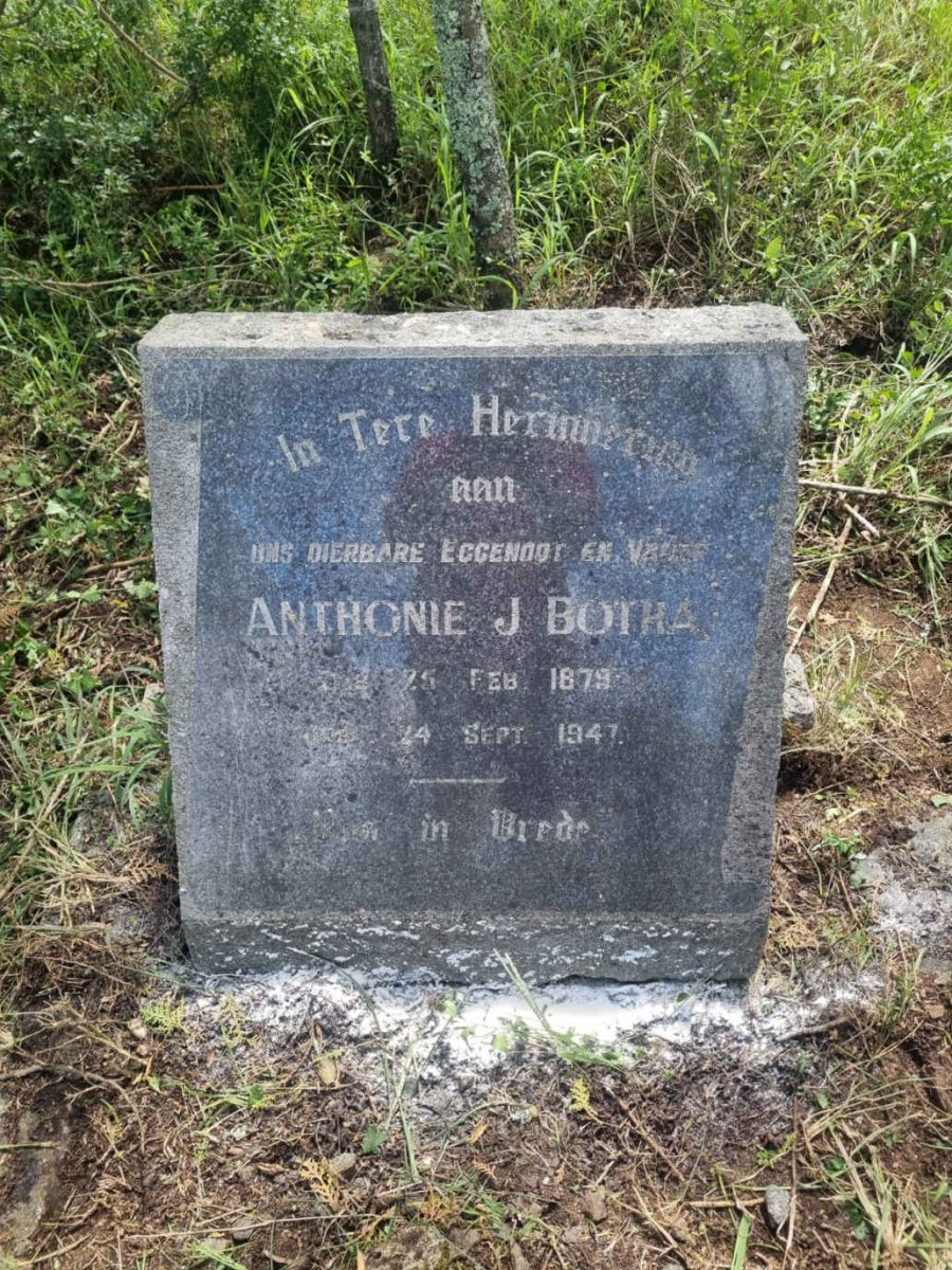 BOTHA Anthonie J. 1879-1947