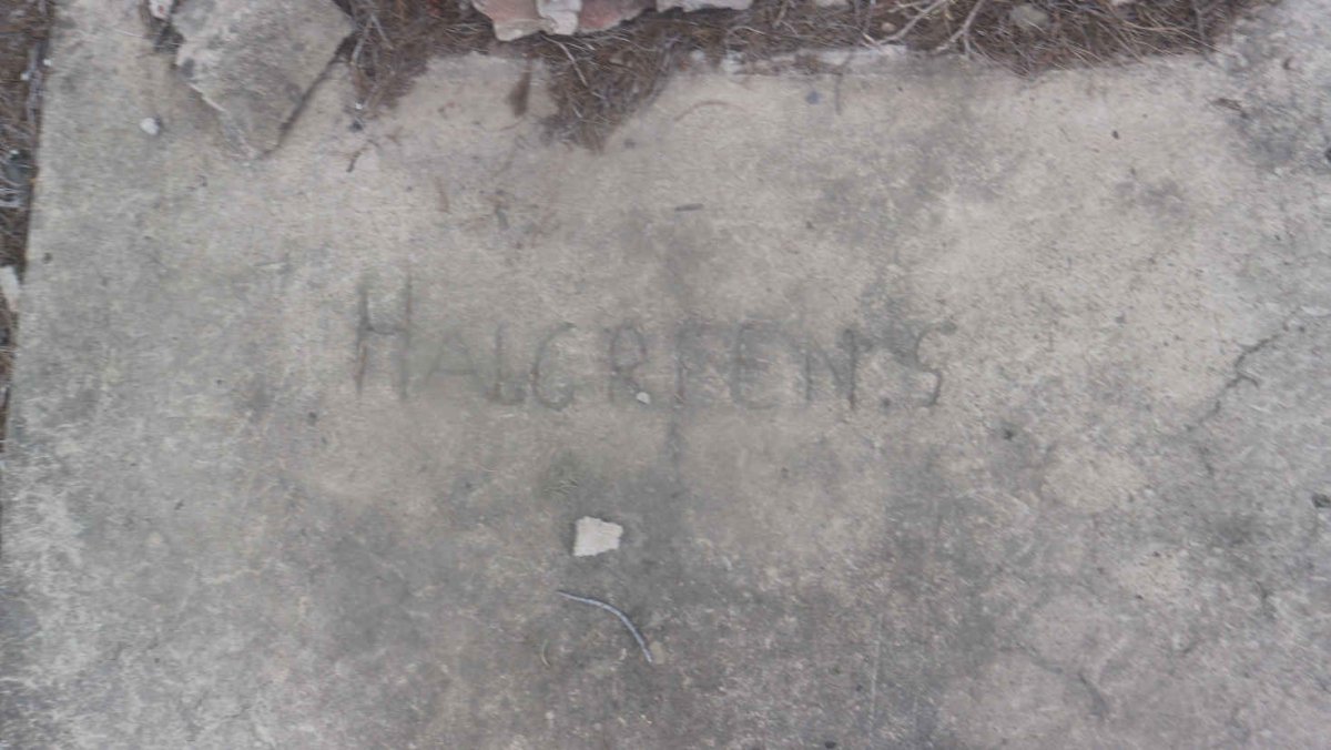 HALGREEN S.
