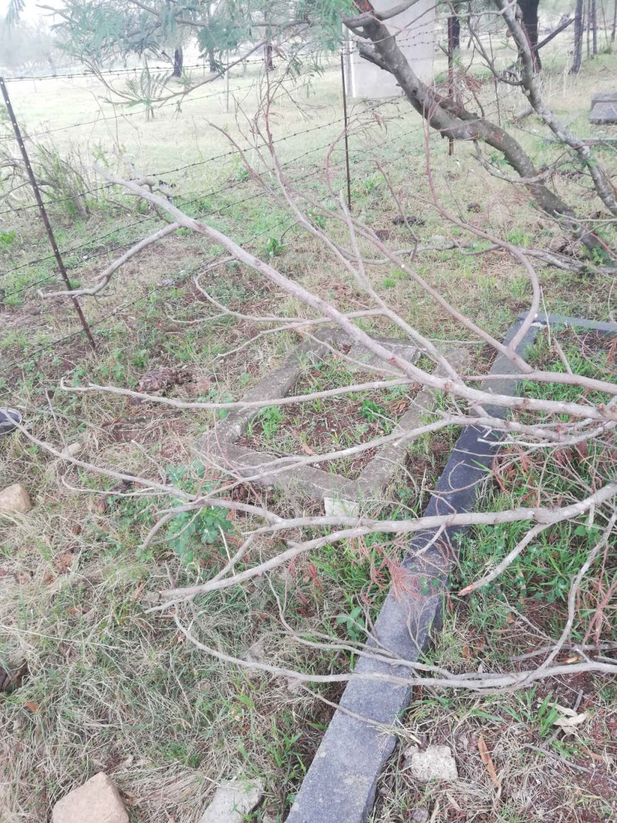 ?