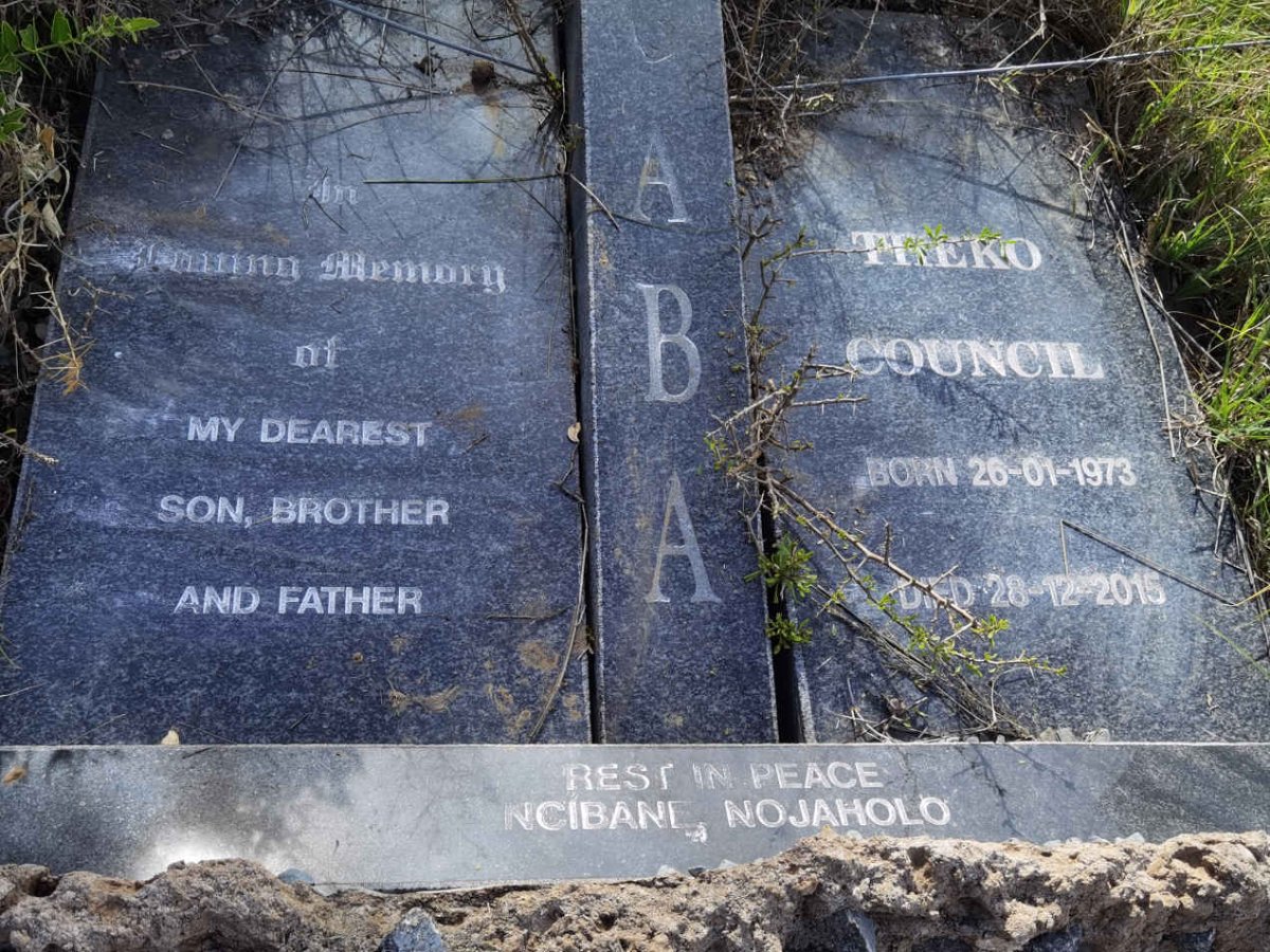 ABA ? 1973-2015