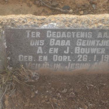 BOUWER Baba 1955-1955