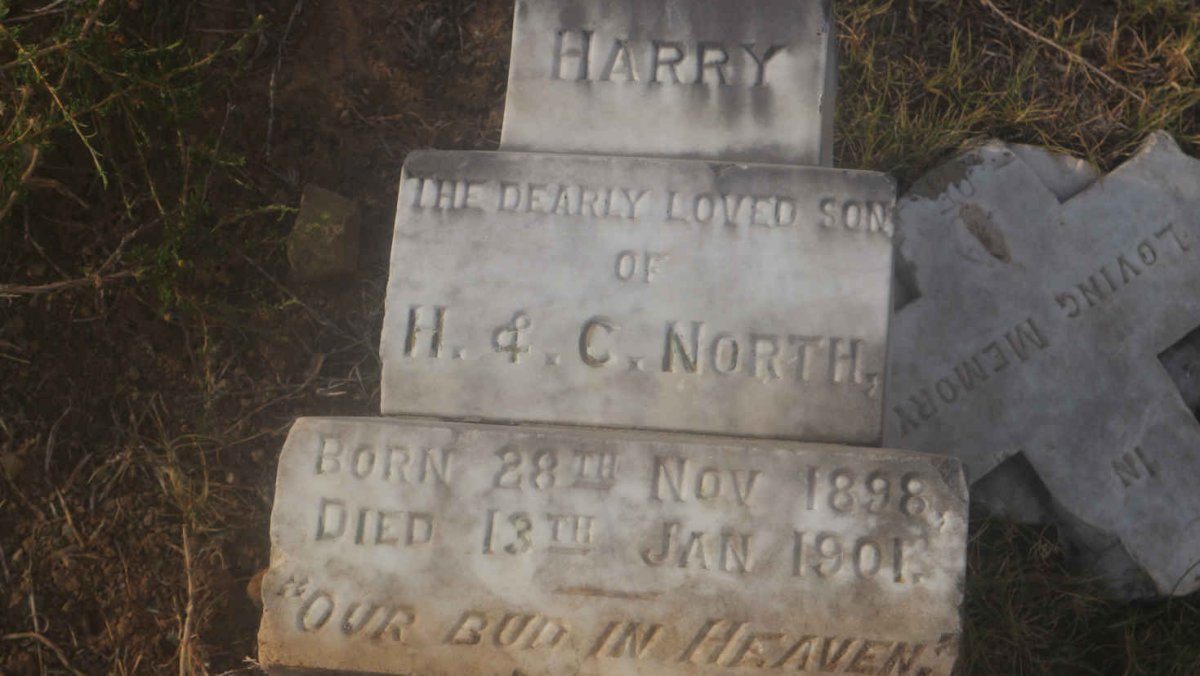 NORTH Harry 1898-1901