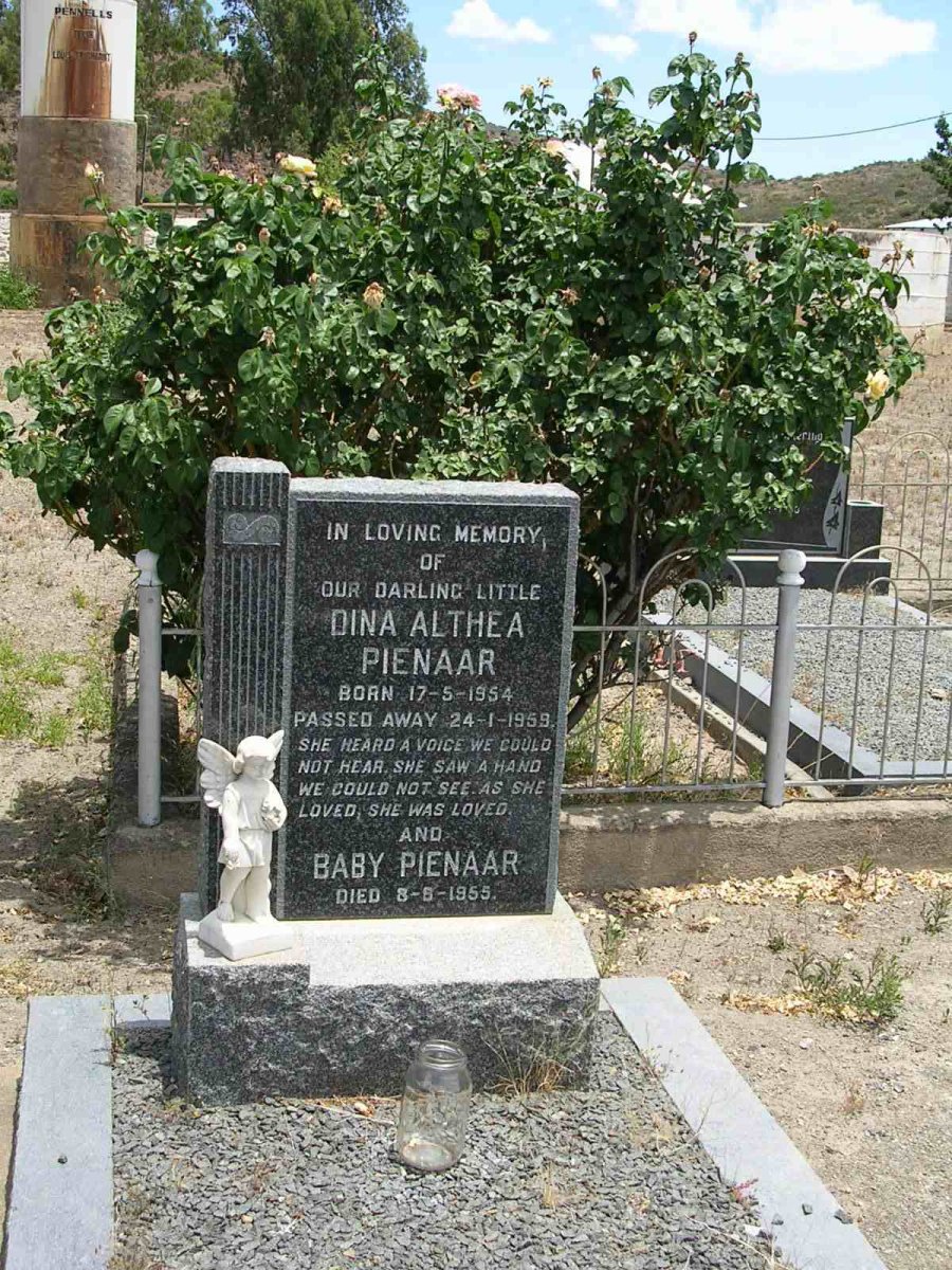 PIENAAR Dina Althea 1954-1959 :: PIENAAR baba -1955