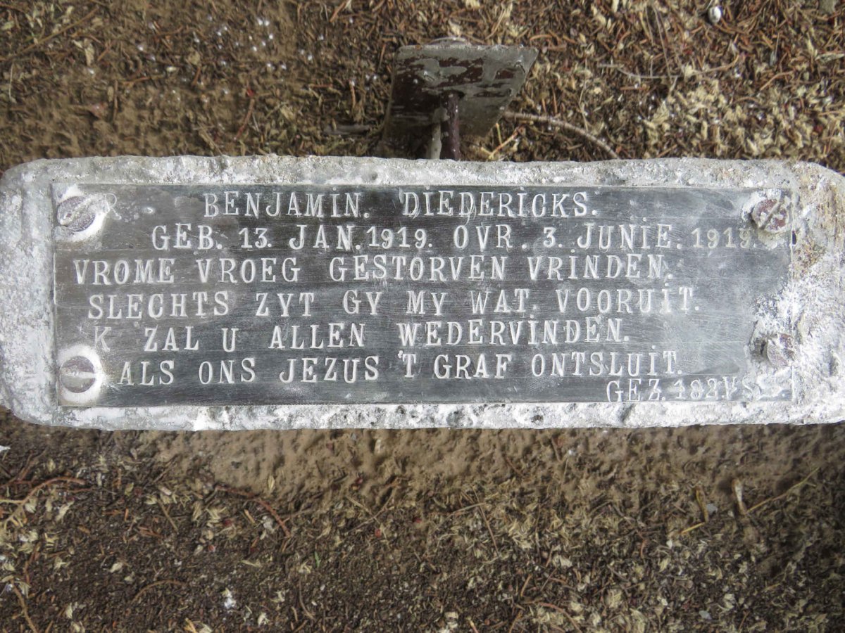 DIEDERICKS Benjamin 1919-1919