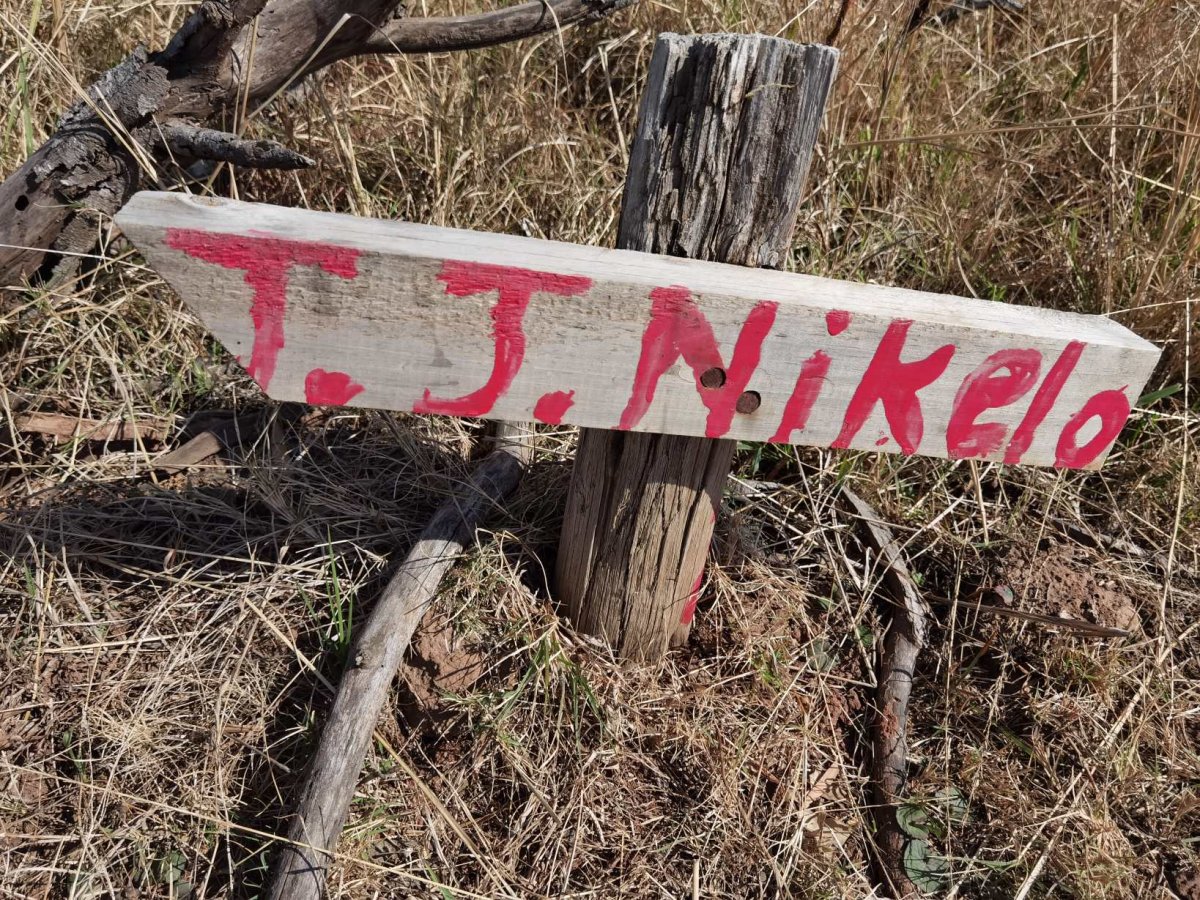 NIKELO T.J.
