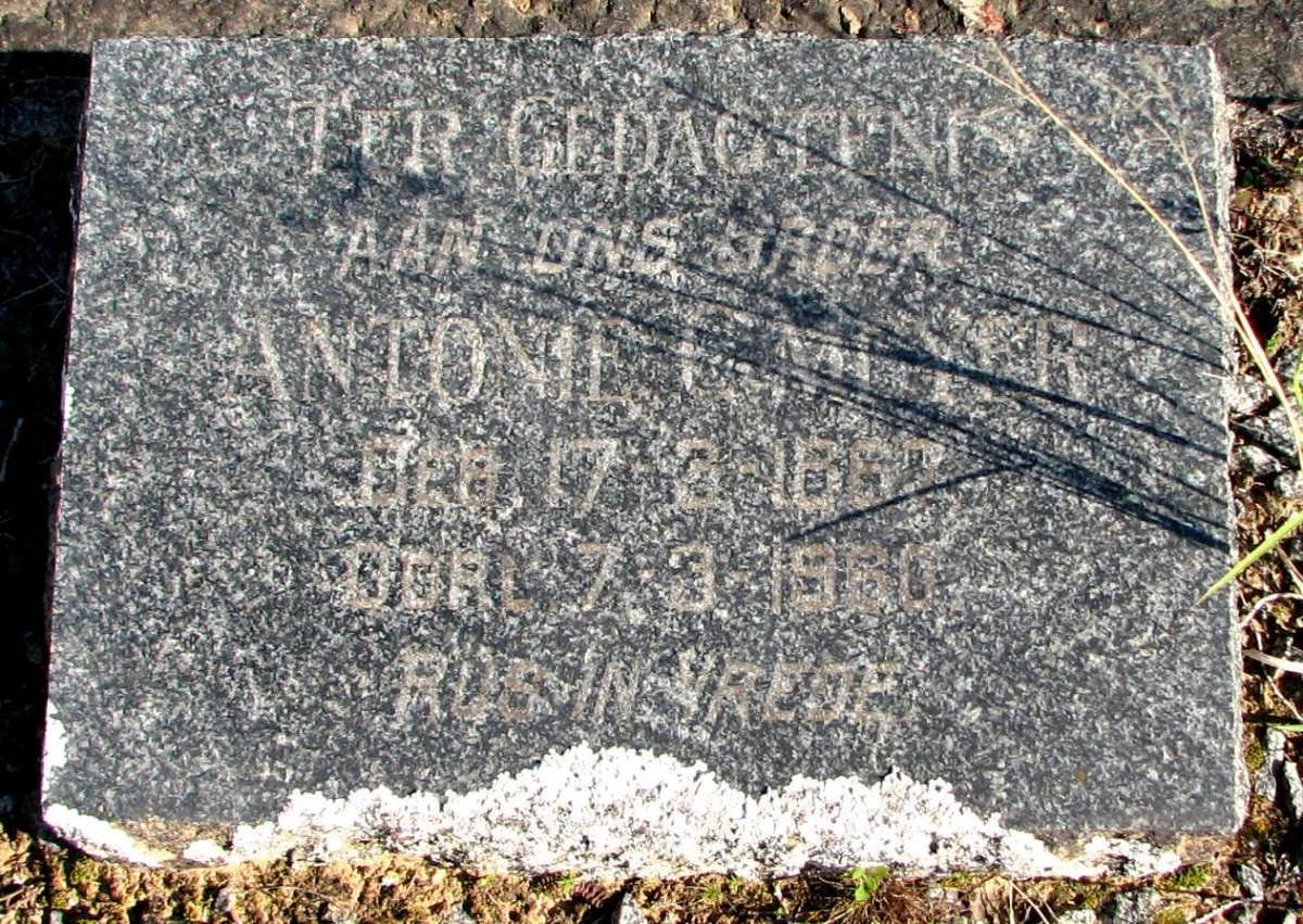 MEYER Antonie ?  ?-1960