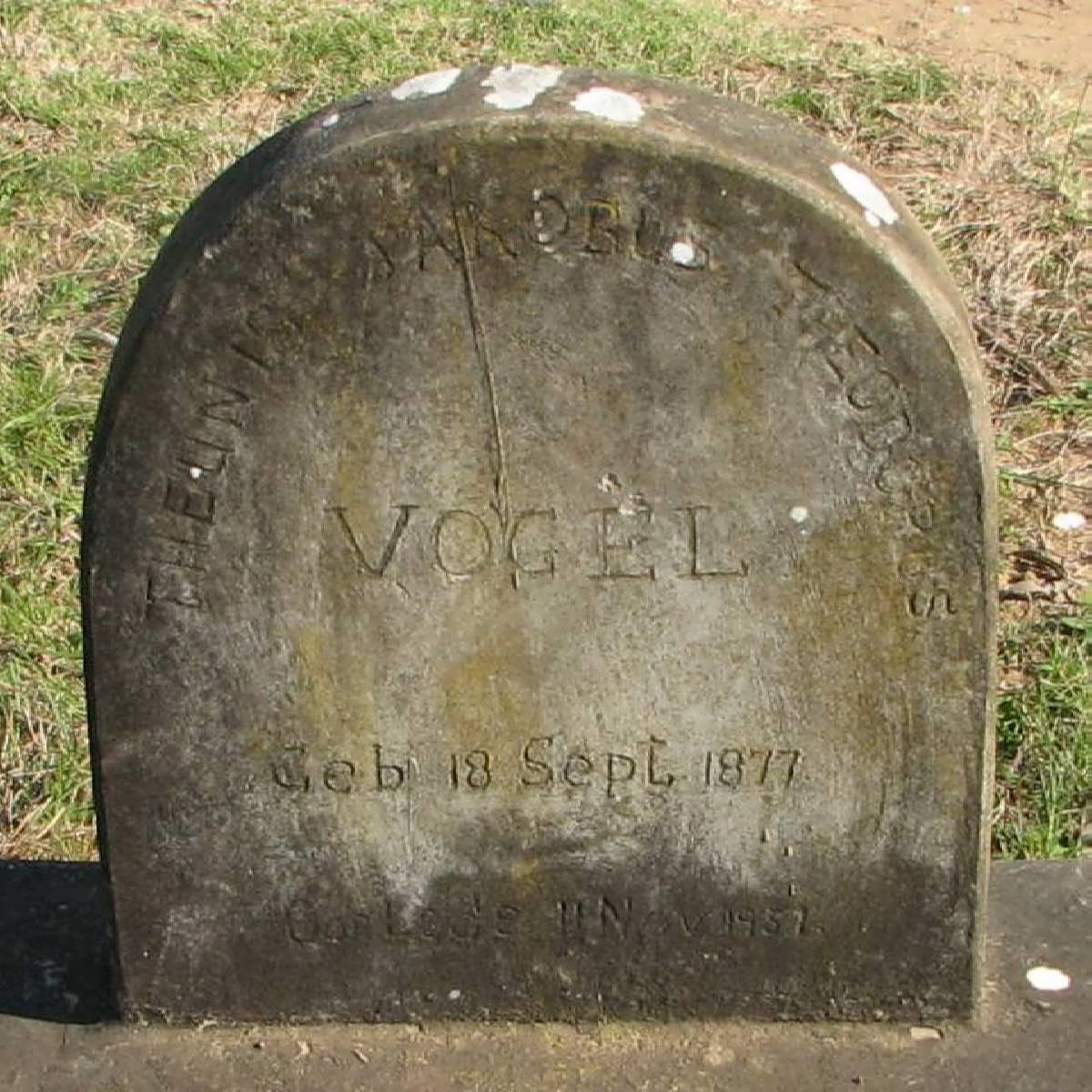 VOGEL Theunis Jakobus Theodorus 1877-1957