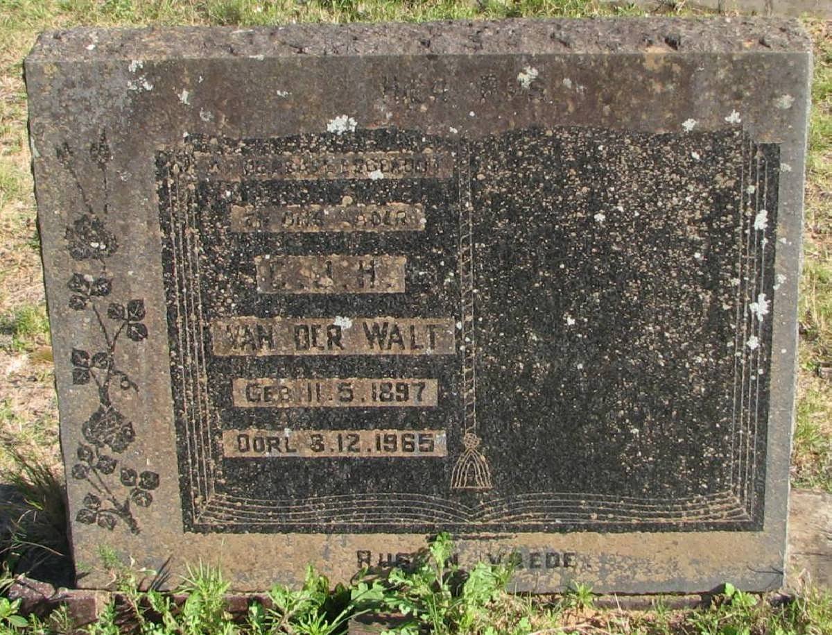 WALT C.J.H., van der 1897-1965