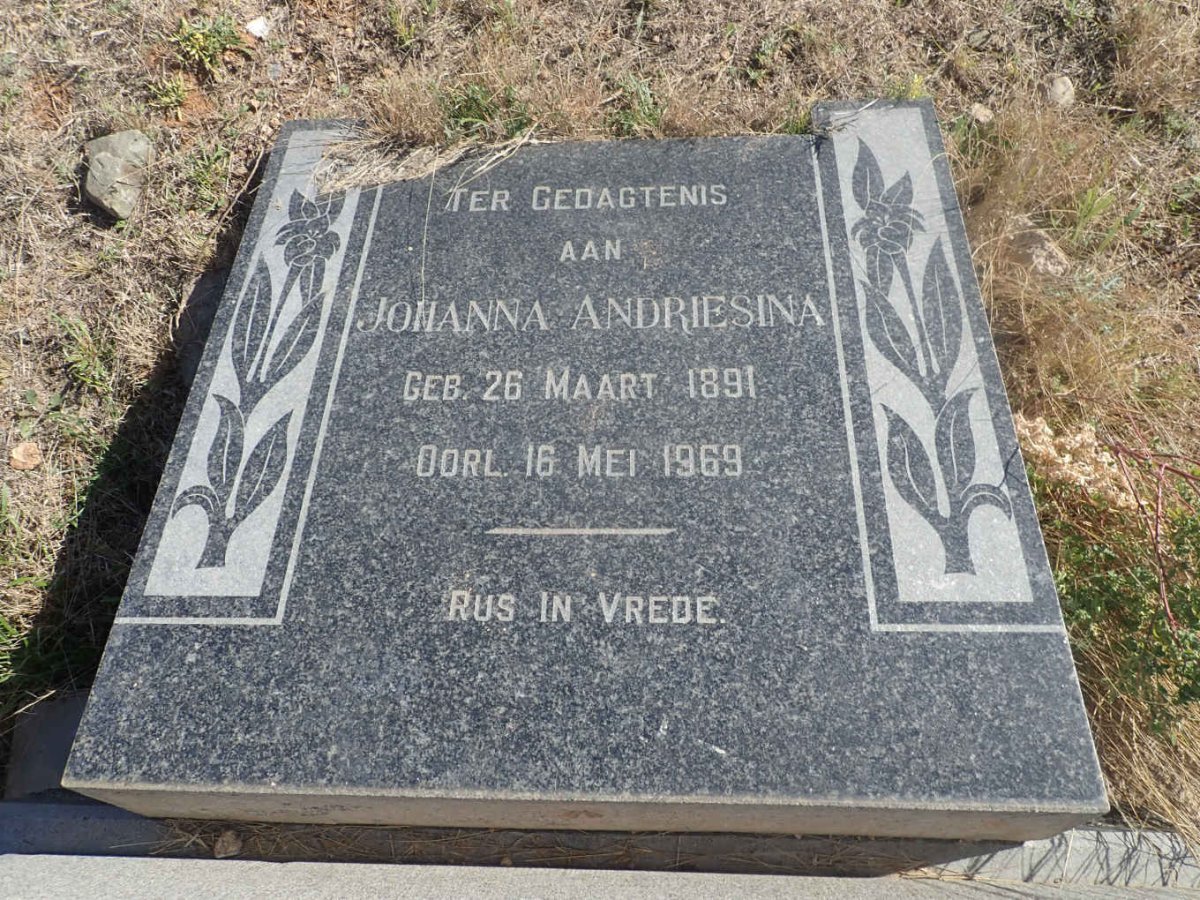 NEL Johanna Andriesina 1891-1969