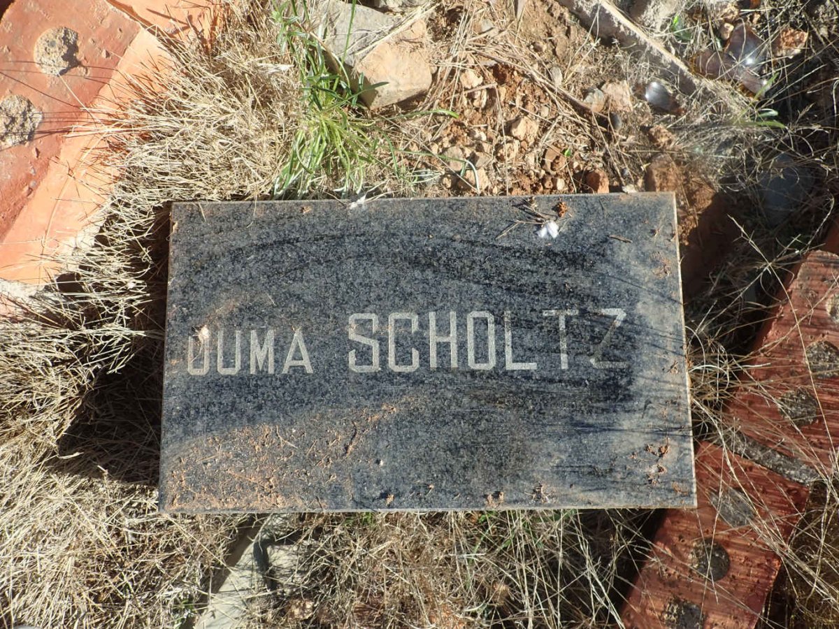 SCHOLTZ