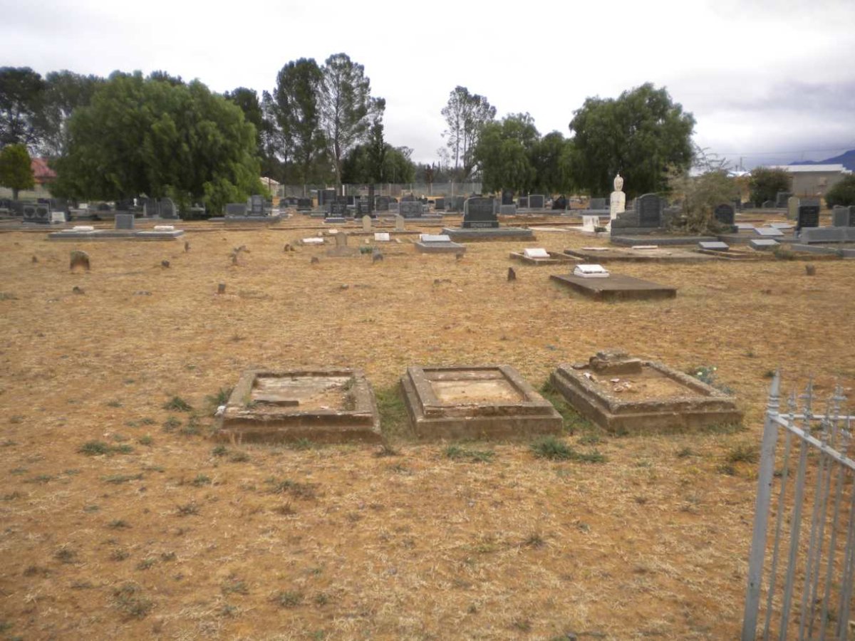 7. Overview