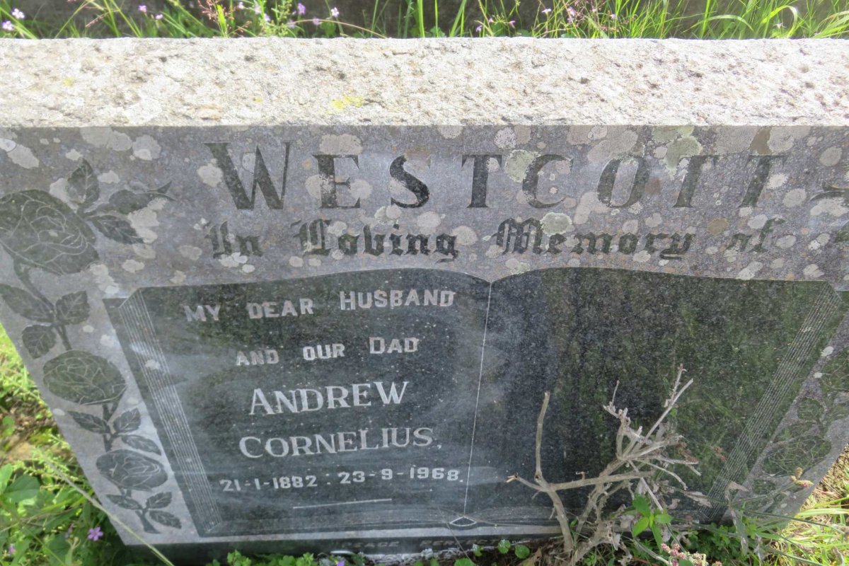 WESTCOTT Andrew Cornelius 1882-1968