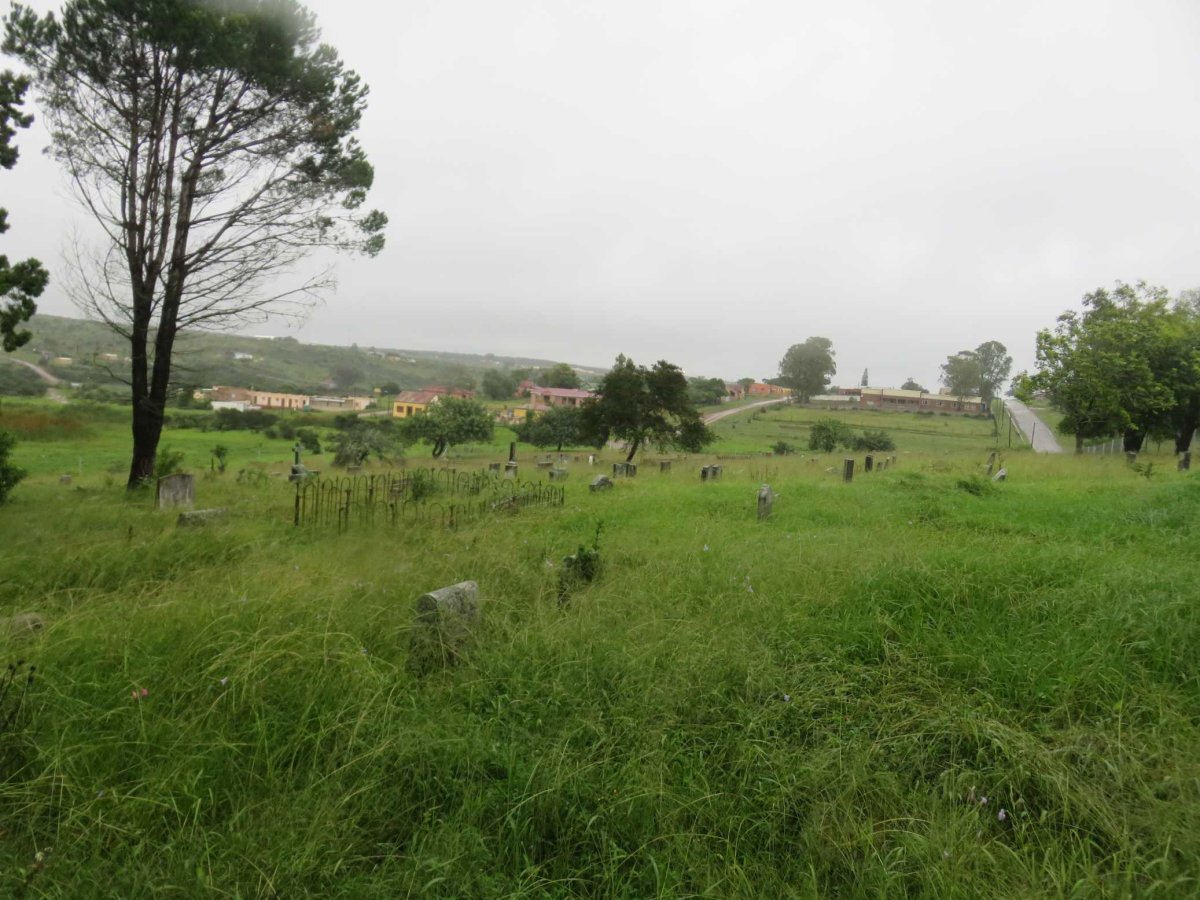 6. Overview / Oorsig
