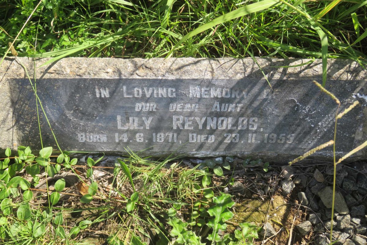 REYNOLDS Lily 1871-1955