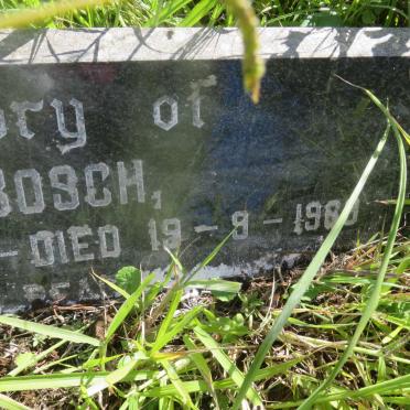 BOSCH Gert 1893-1969