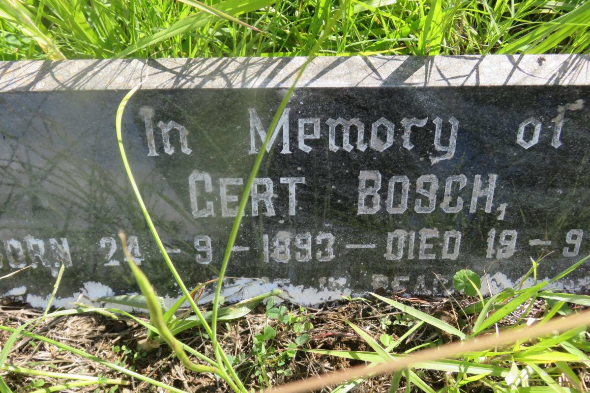 BOSCH Gert 1893-1969